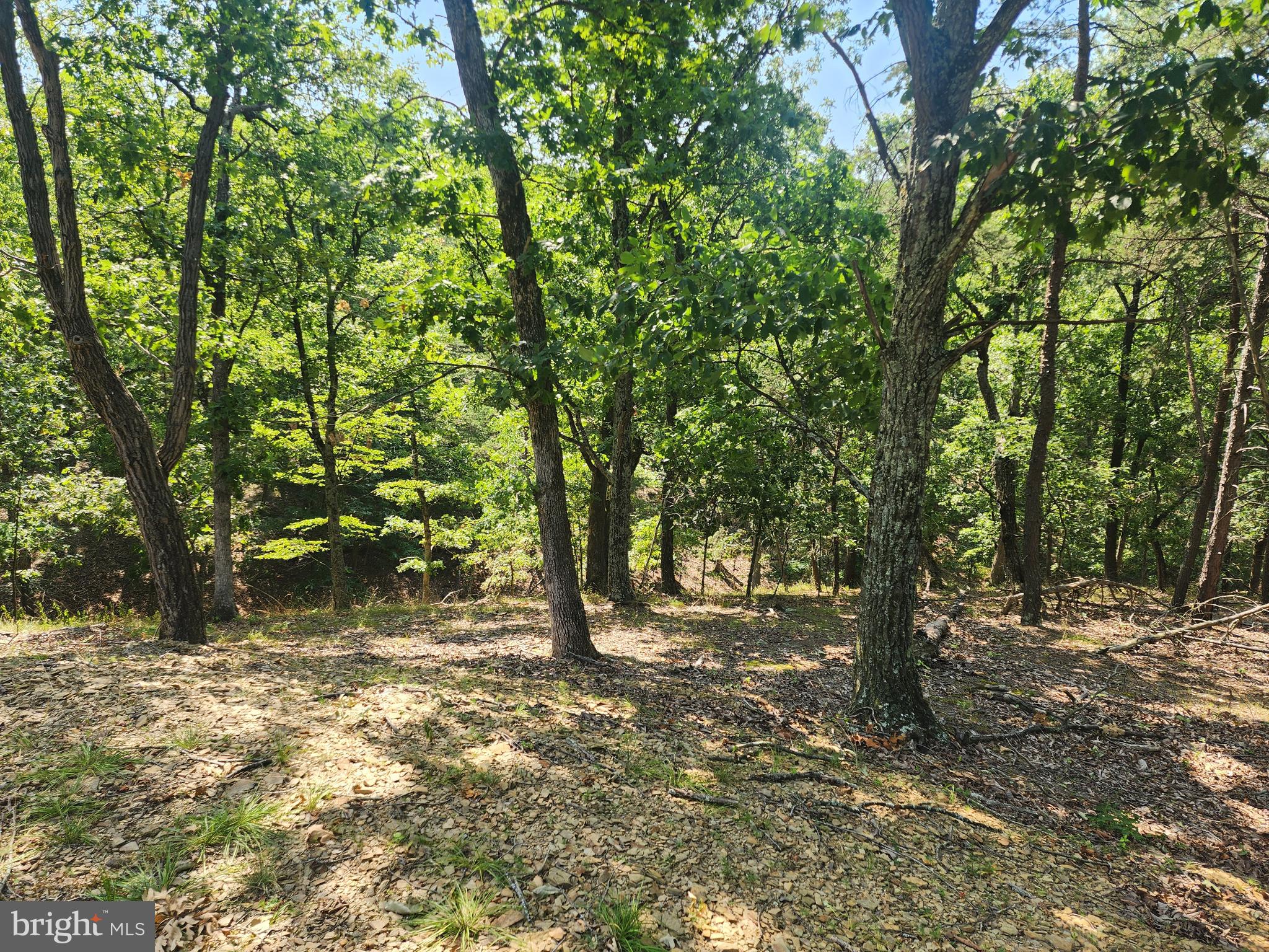 DEER RIDGE ESTATES - Land