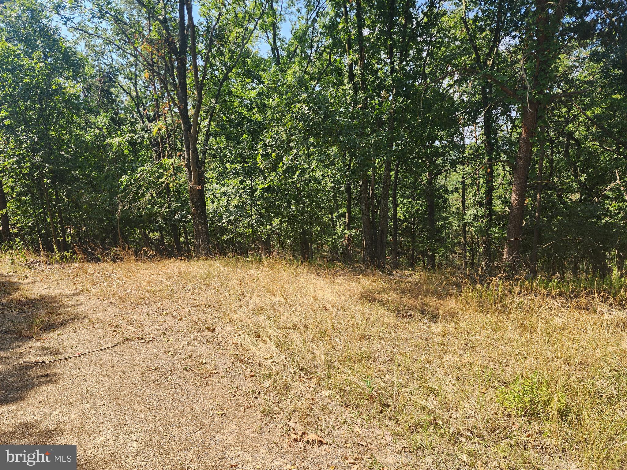 DEER RIDGE ESTATES - Land