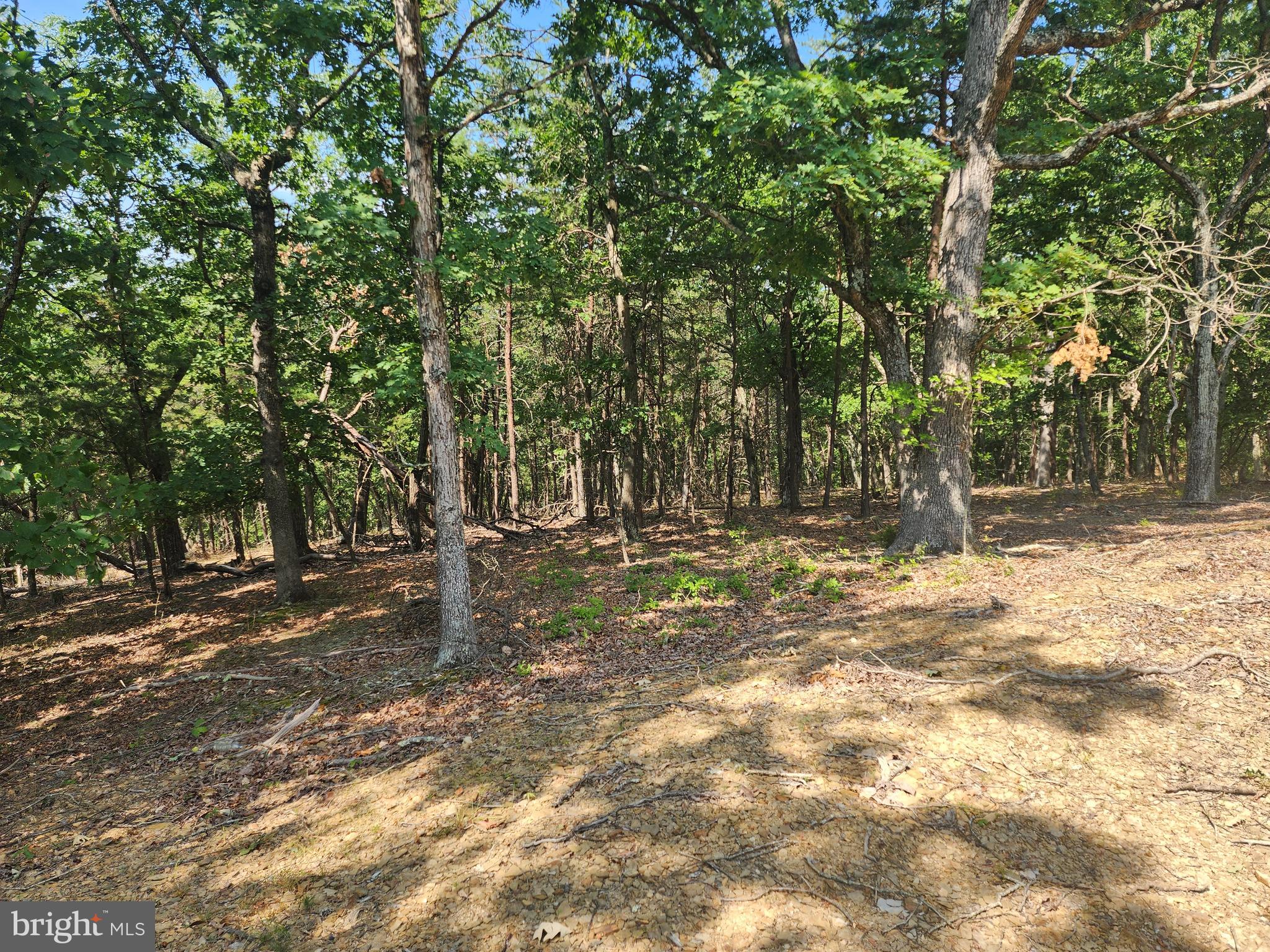 DEER RIDGE ESTATES - Land