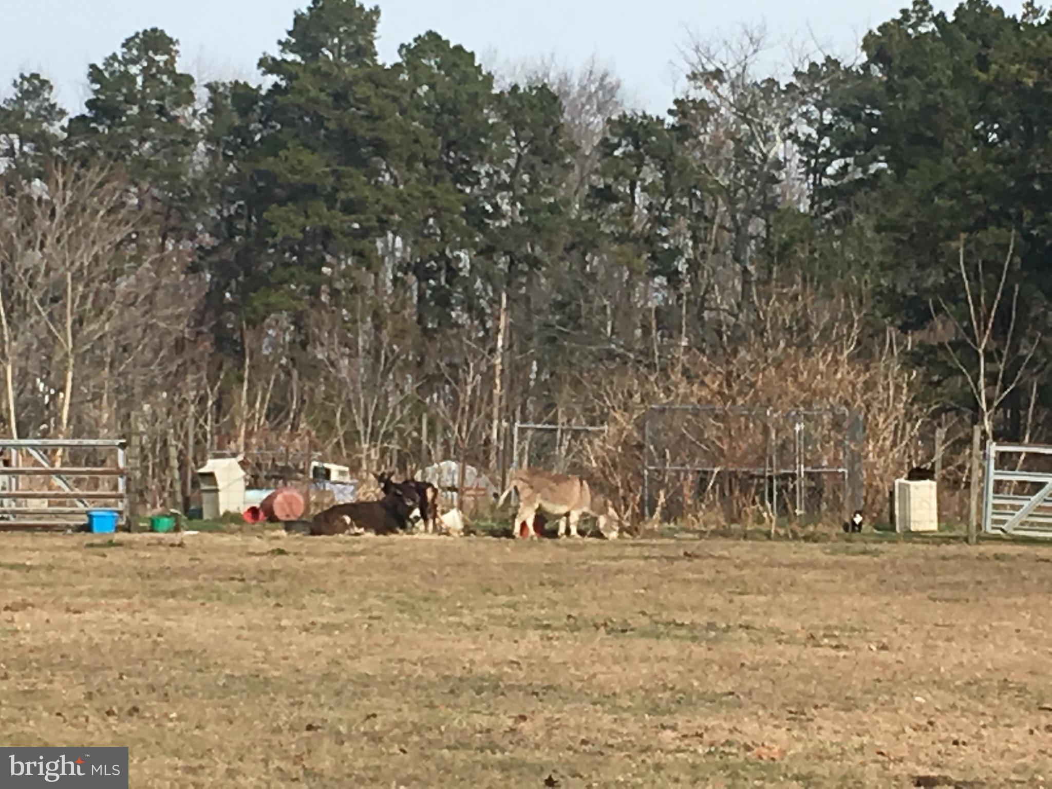 000 BLUE ANCHOR ROAD