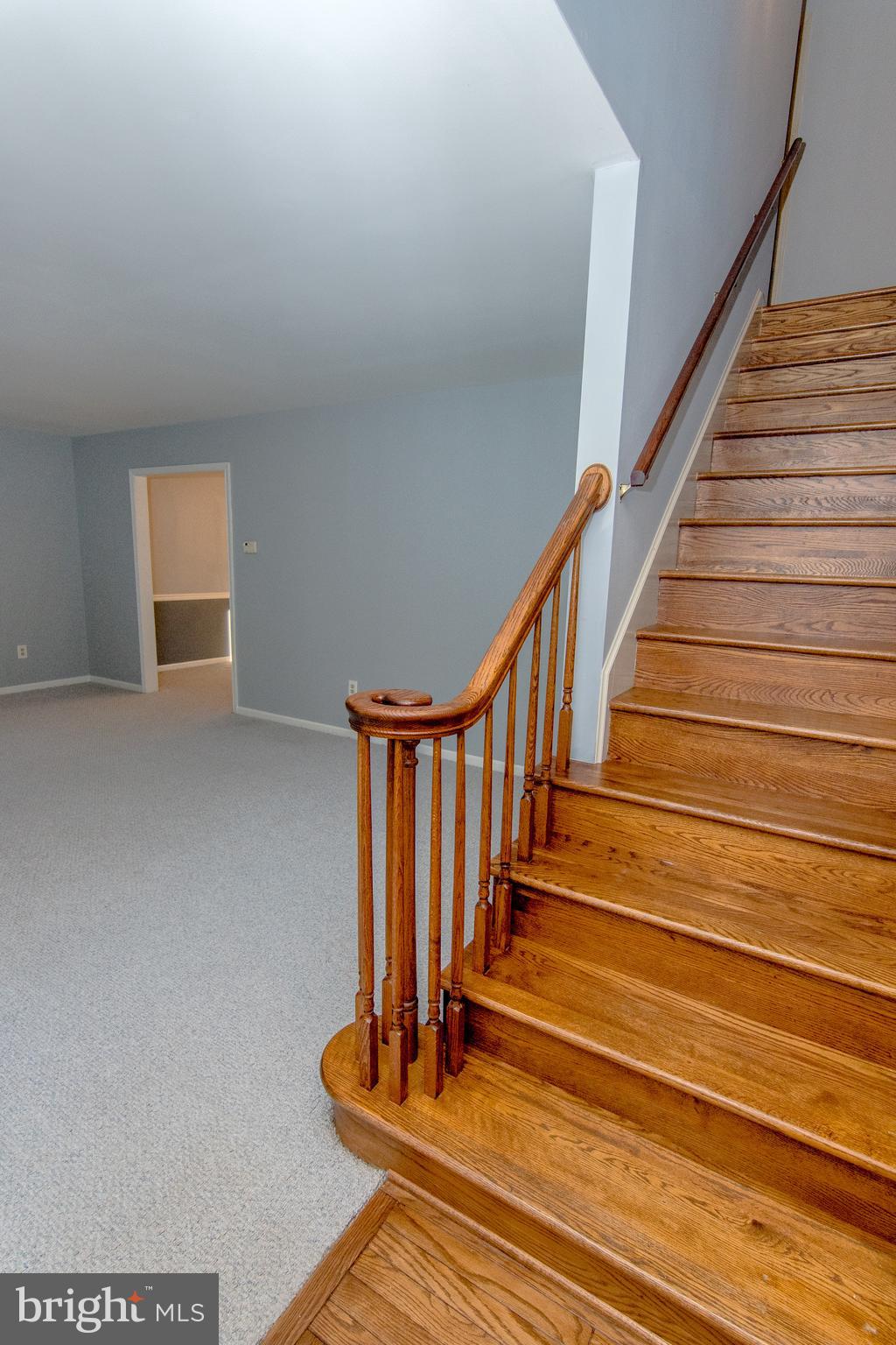 CHESTNUT HILLS - Residential