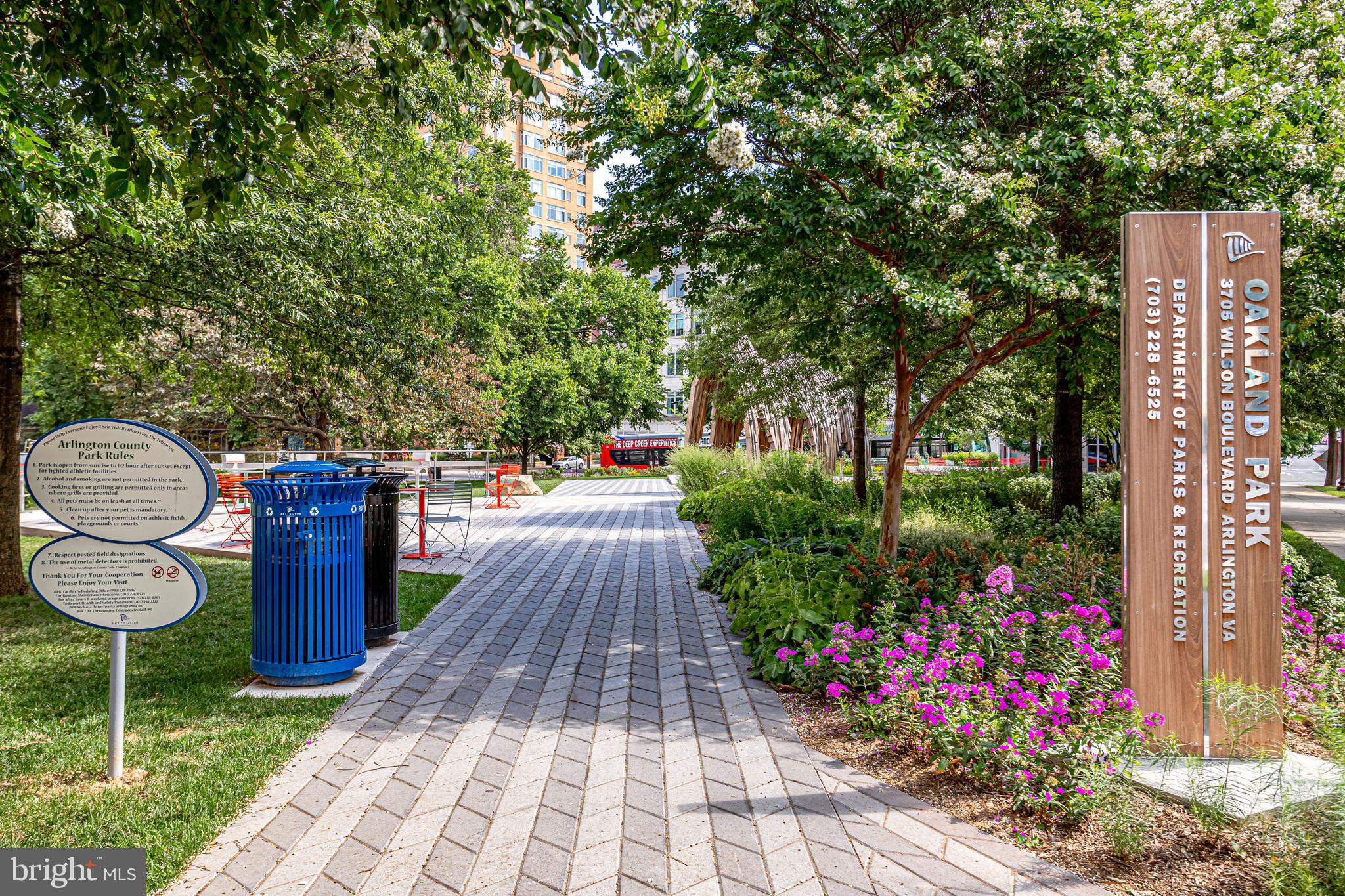 LEXINGTON SQUARE - Residential