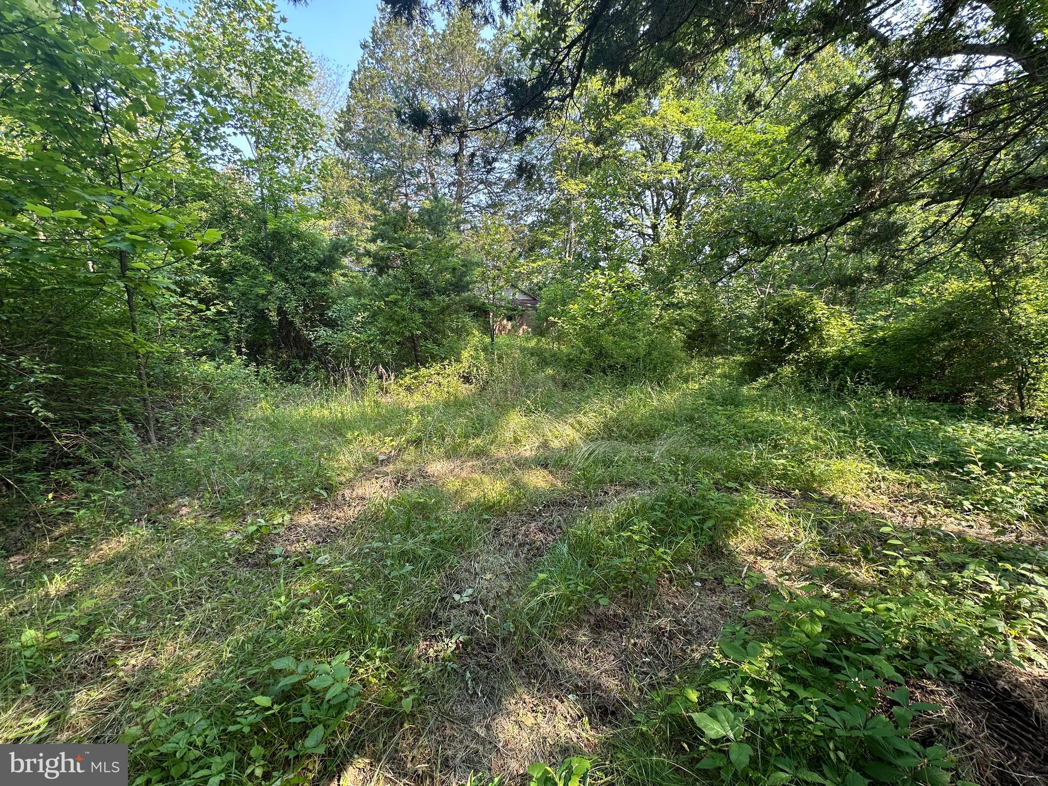 10017 HAYDEN ROAD