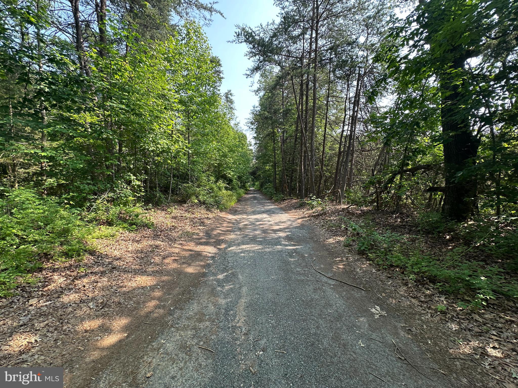 10017 HAYDEN ROAD