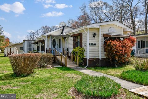 37470 SHADY COURT SELBYVILLE DE 19975