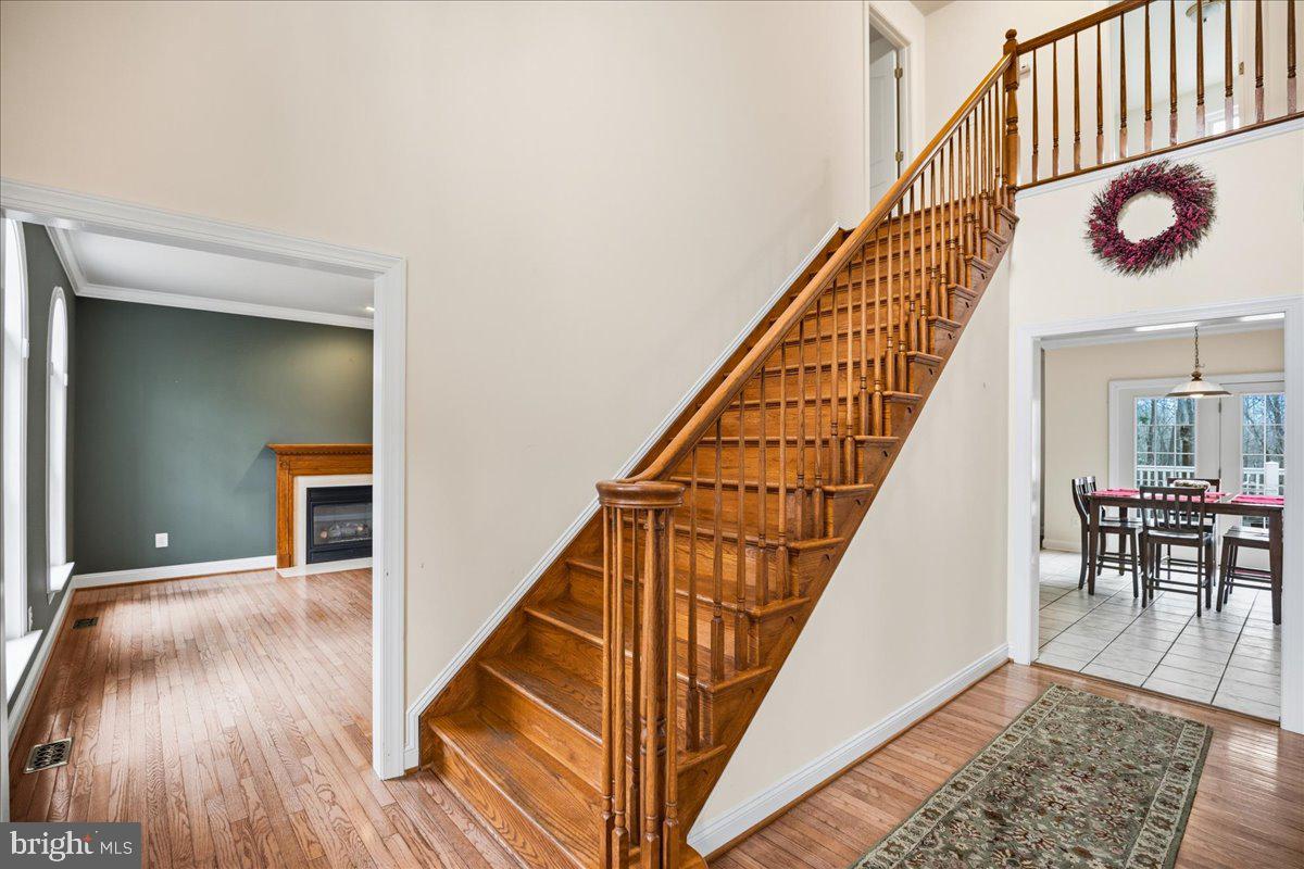 1000 SOLOMON FRAZIER