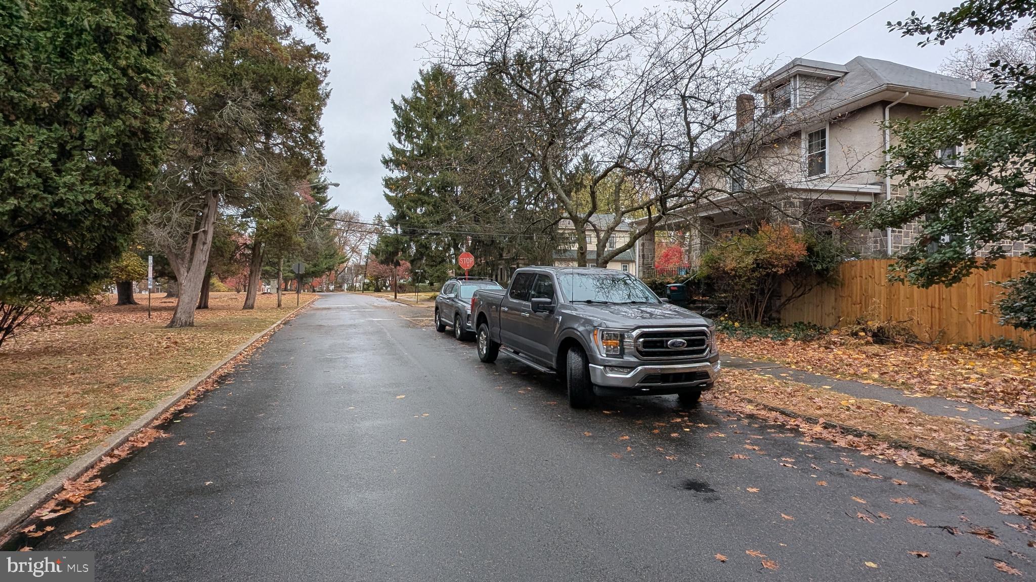 RIDLEY PARK - Residential