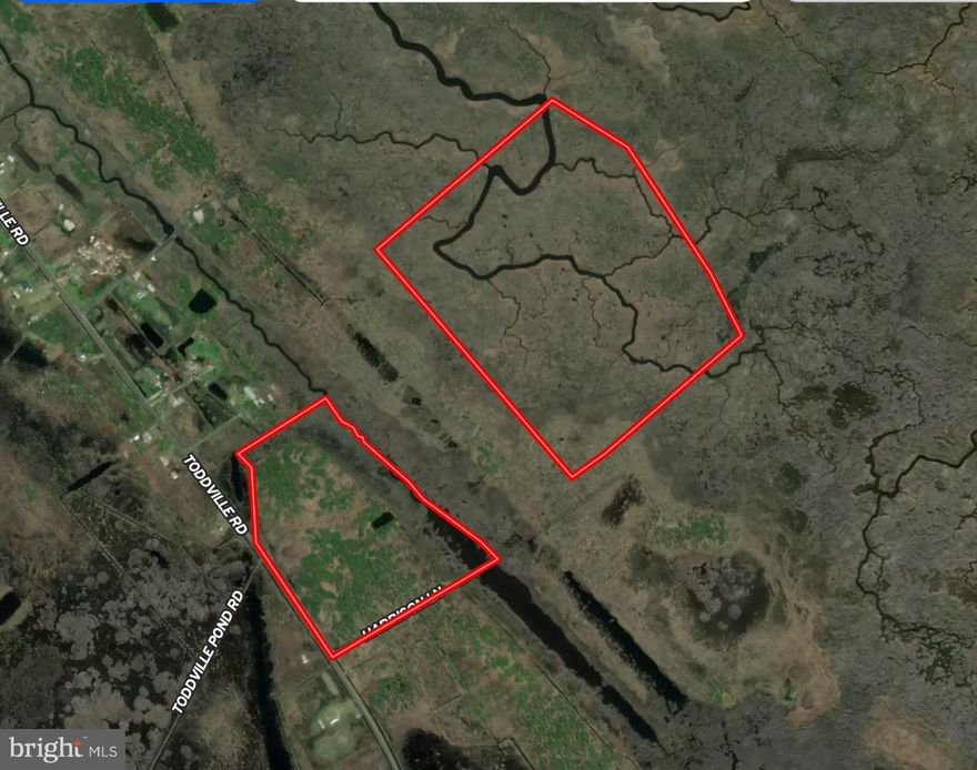 Welcome to Sikaville! Experience a true eastern shore hunting experience chasing sika deer and waterfowl on these two parcels in Toddville, MD. Parcel 10-001382 sits on Toddville Road with nearly 600' of frontage, and room to park. This parcel is mostly high and dry, and includes a pond that will help with the waterfowl hunting. This is a probability of obtaining a perc on this property, but none has been previously attemped. This parcel is accompanied by parcel 10-001439, which is mostly marsh, and backs to and is surrounded by over 800 acres of state land, so let the games begin. This parcel conveys with a Tower Box Blind, and two feeders, both of which need new motors according to the owner. Mapping software shows a total of 44.37 acres versus deeded acres which may not be accurate. Buyer to do their due diligence.