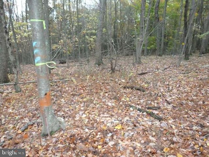 Own your own piece of wooden haven! 15.66 wooded acres only 5.3 miles from Rt 22/322 Port Royal Exit. Timber included. (Timber last 10/1997). No outlet, private gravel road access, by way of Birch Lane. Deeded Easement across from Kepner now Rapp & Hepner; now Manbeck & Lewis; now Fisher (Lot #1- 10.2 acres). Hunter turkey or deer. Closet to State Game Land #88. Build your cabin plans & retreat near base or Tuscarora Mt. *Upon acceptable offer, owner will pursue a current perk test.