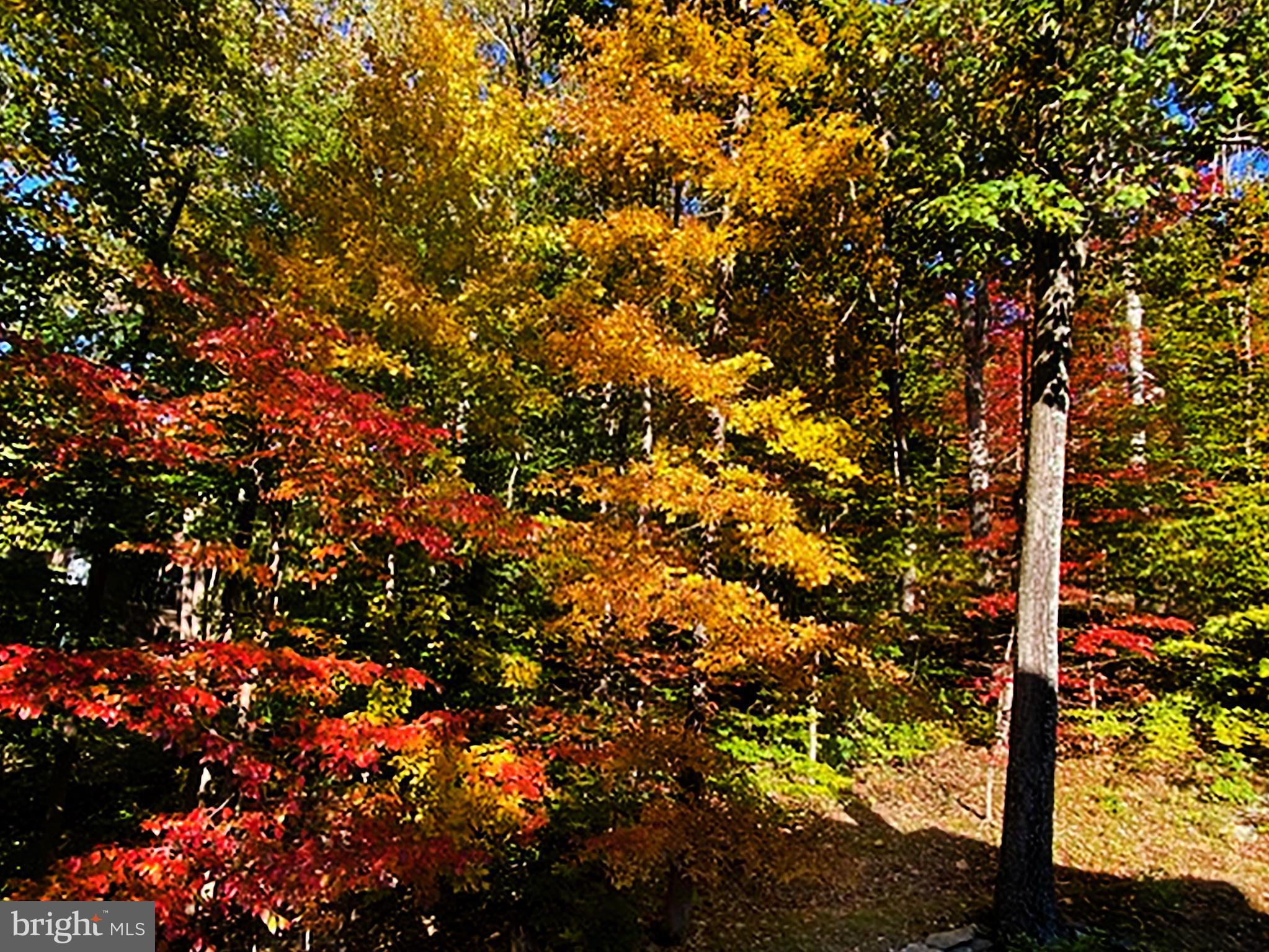 PINEHURST - Residential