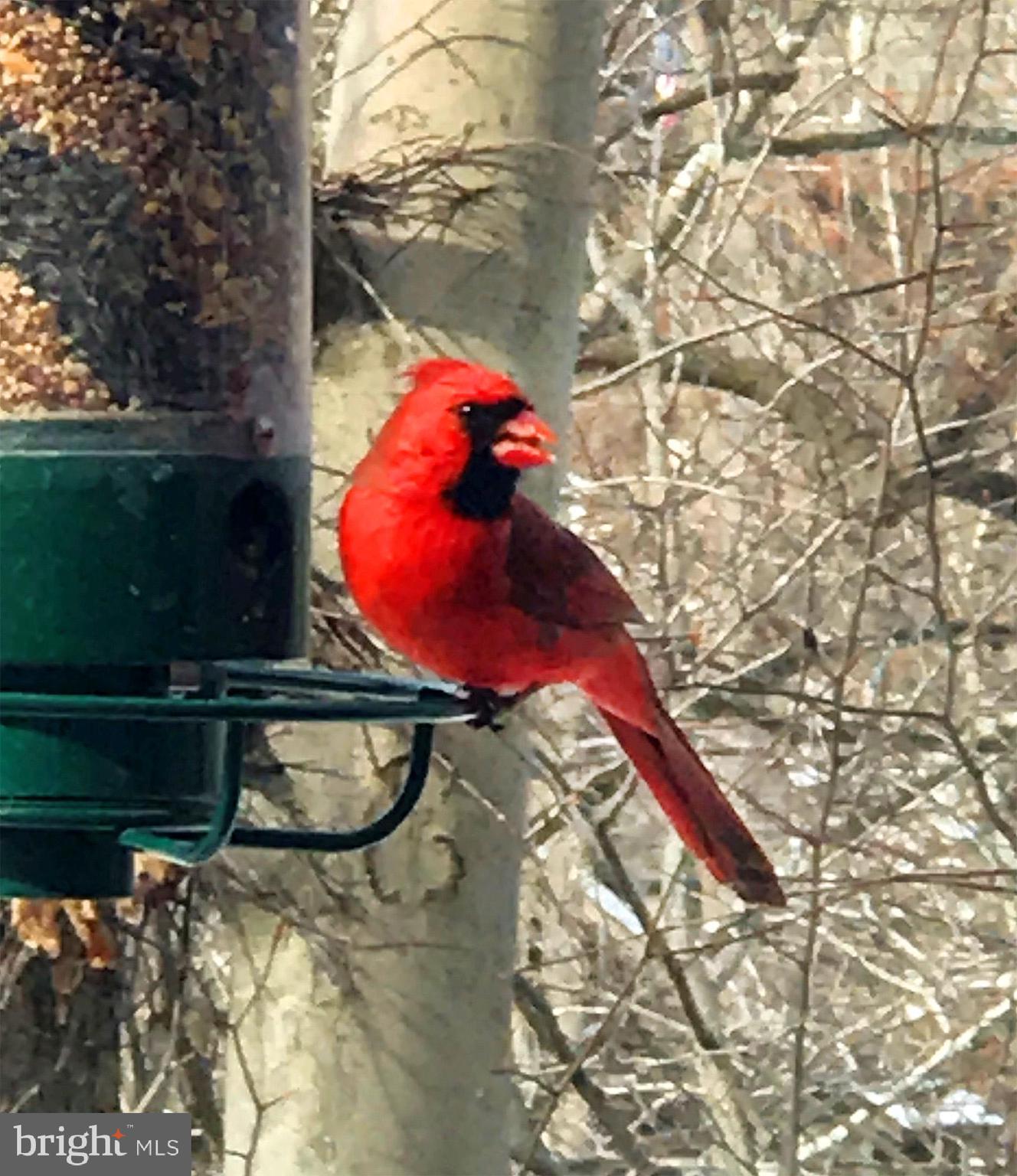 PINEHURST - Residential