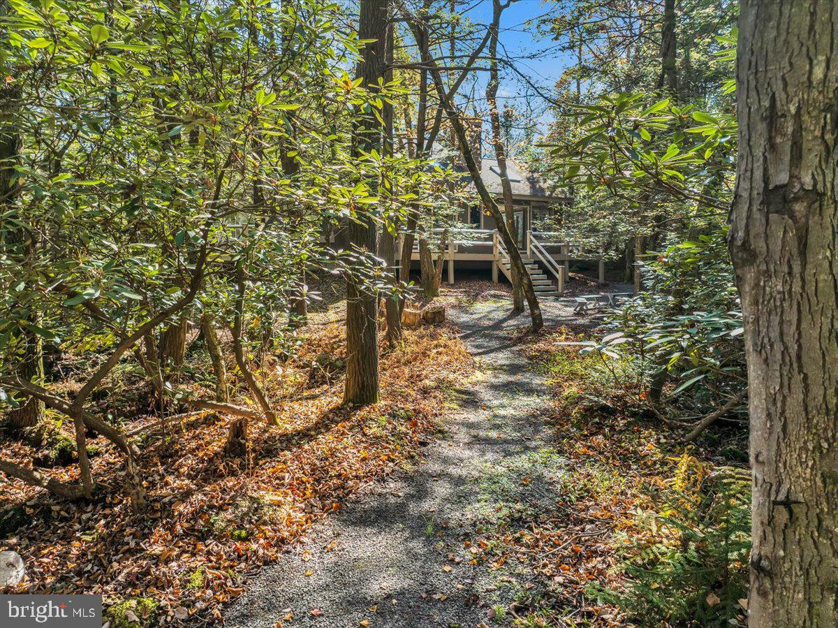 LAKE NAOMI - Residential