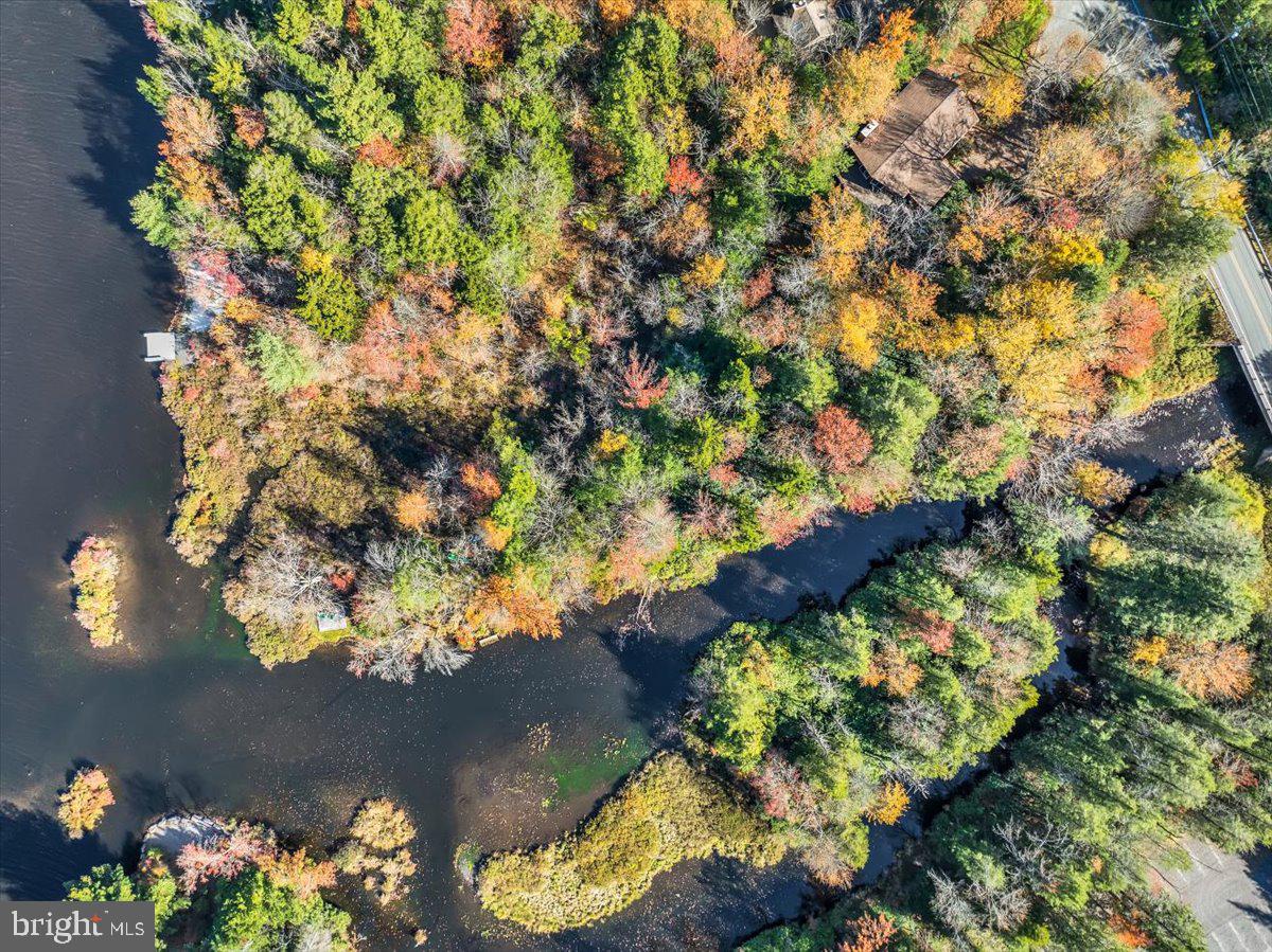 LAKE NAOMI - Residential