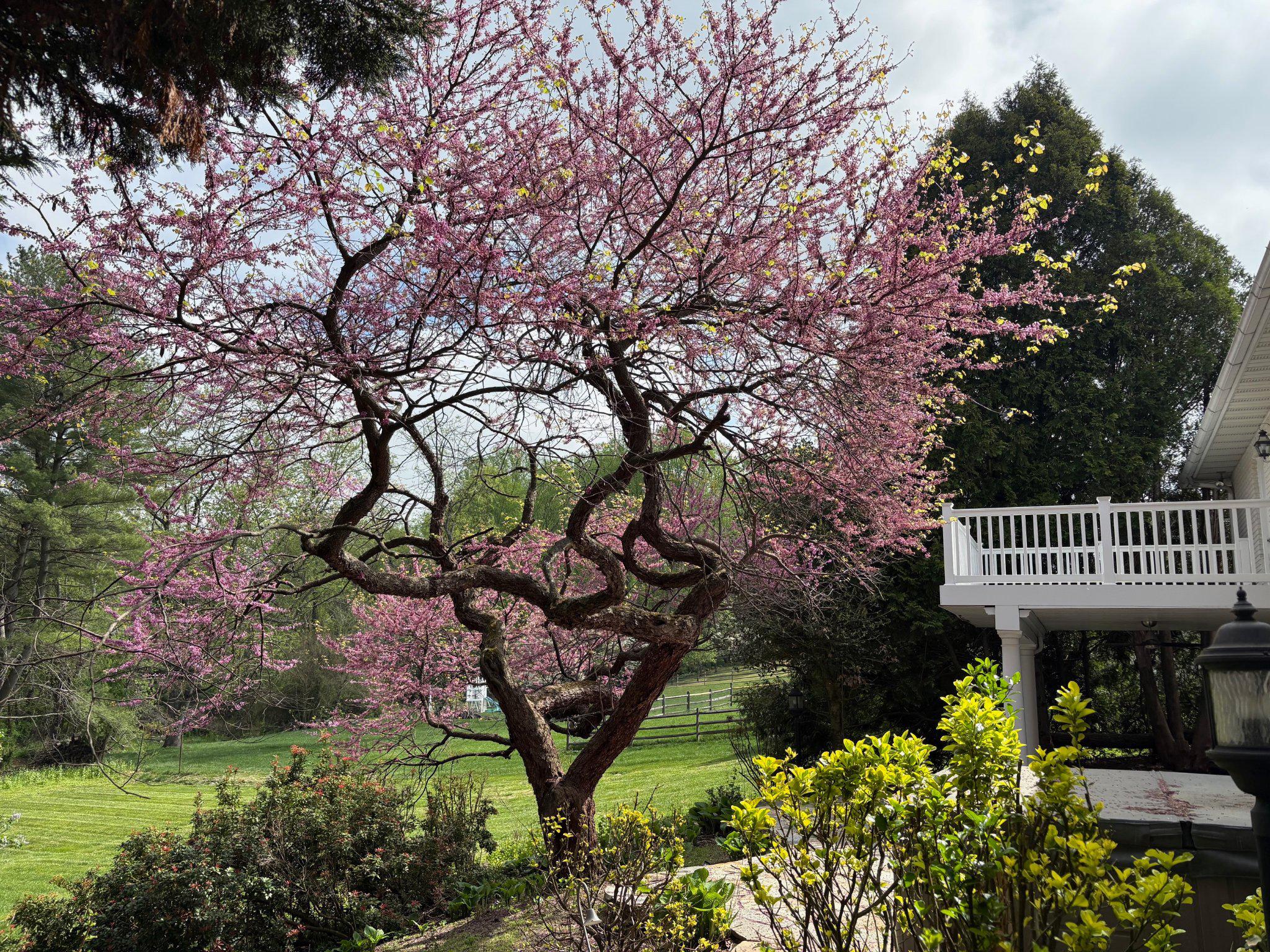 ORCHARD LAKES - Residential