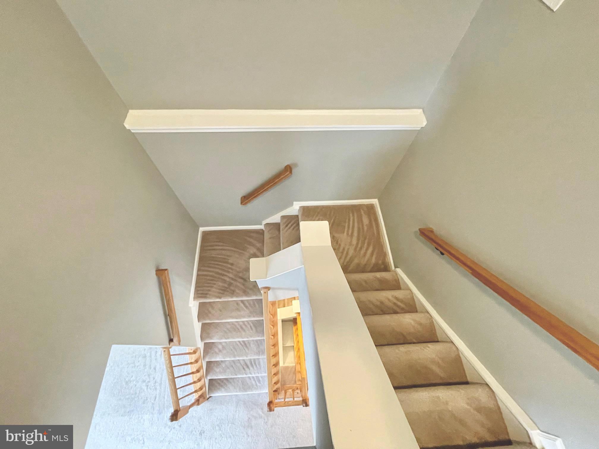 BRAEMAR - Residential Lease