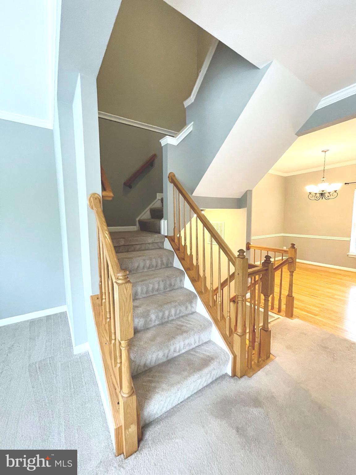 BRAEMAR - Residential Lease