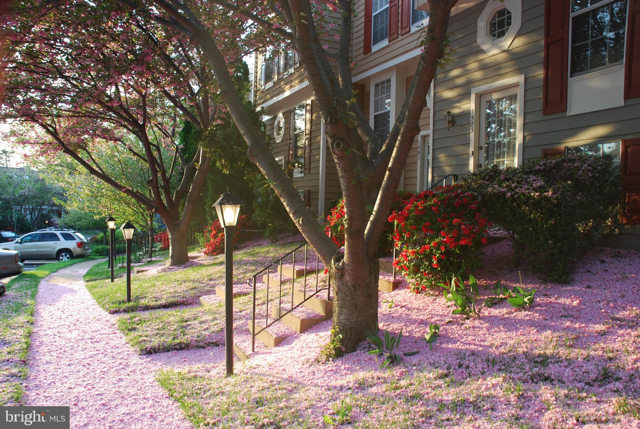 RESTON - Residential