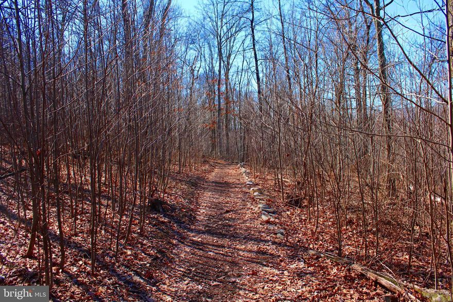 Escape the hustle of city life with this exceptional 5.00 -acre property, just a quick 2-hour drive from Washington DC. Nestled amidst nature's embrace, this parcel boasts a cleared build site and convenient access to electricity, making it the ideal canvas for your dream home or weekend retreat. Explore the beauty of the outdoors with numerous stoned-lined trails, offering endless opportunities for hiking and hunting. Whether you're seeking a peaceful haven for a single-family residence, a weekend retreat, or an investment opportunity, this property offers the perfect blend of tranquility and convenience. Don't miss your chance to make this slice of paradise yours.