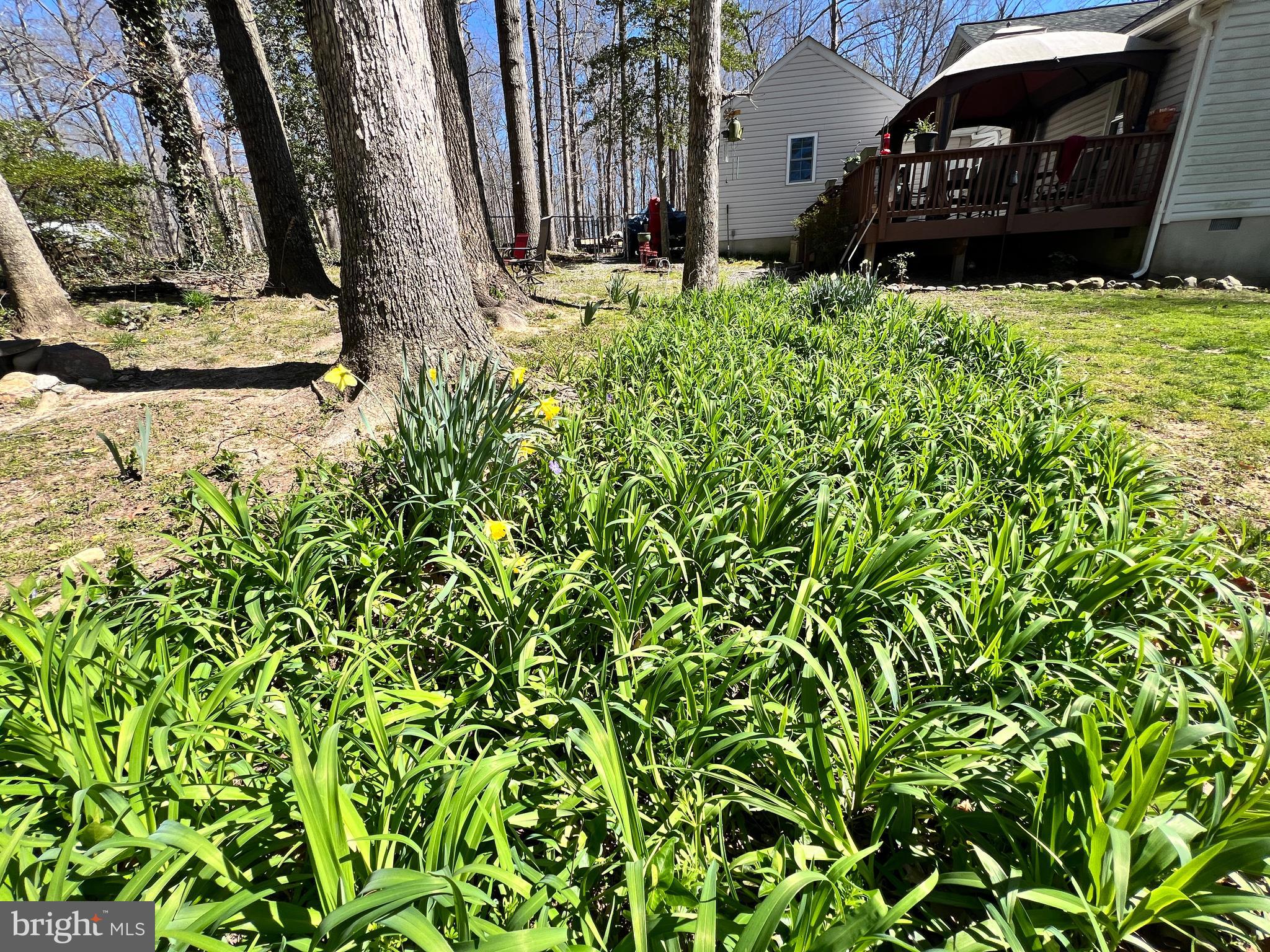BERKSHIRE - Residential