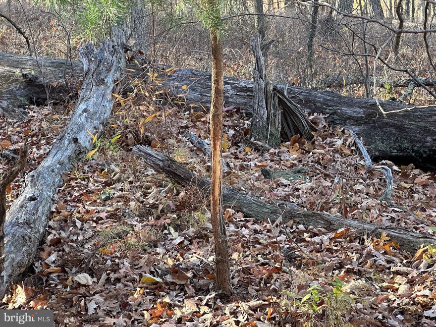 Unrestricted and private lot in beautiful West Virginia.  Secluded and very private. Camper on lot conveys with property. Come camp close to Potomac River access.  Short distance to Canaan Valley.