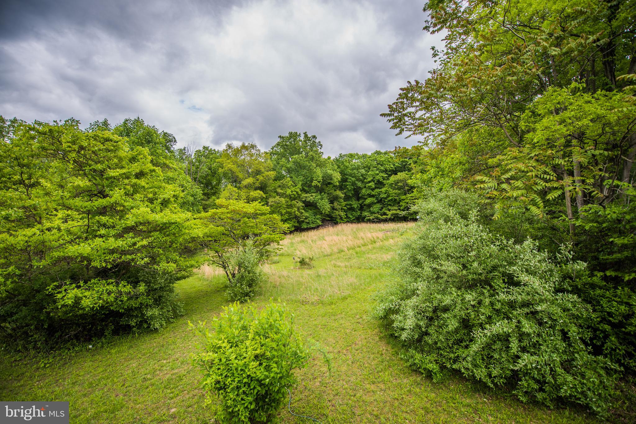 CACAPON RIVER MEADOWS - Residential