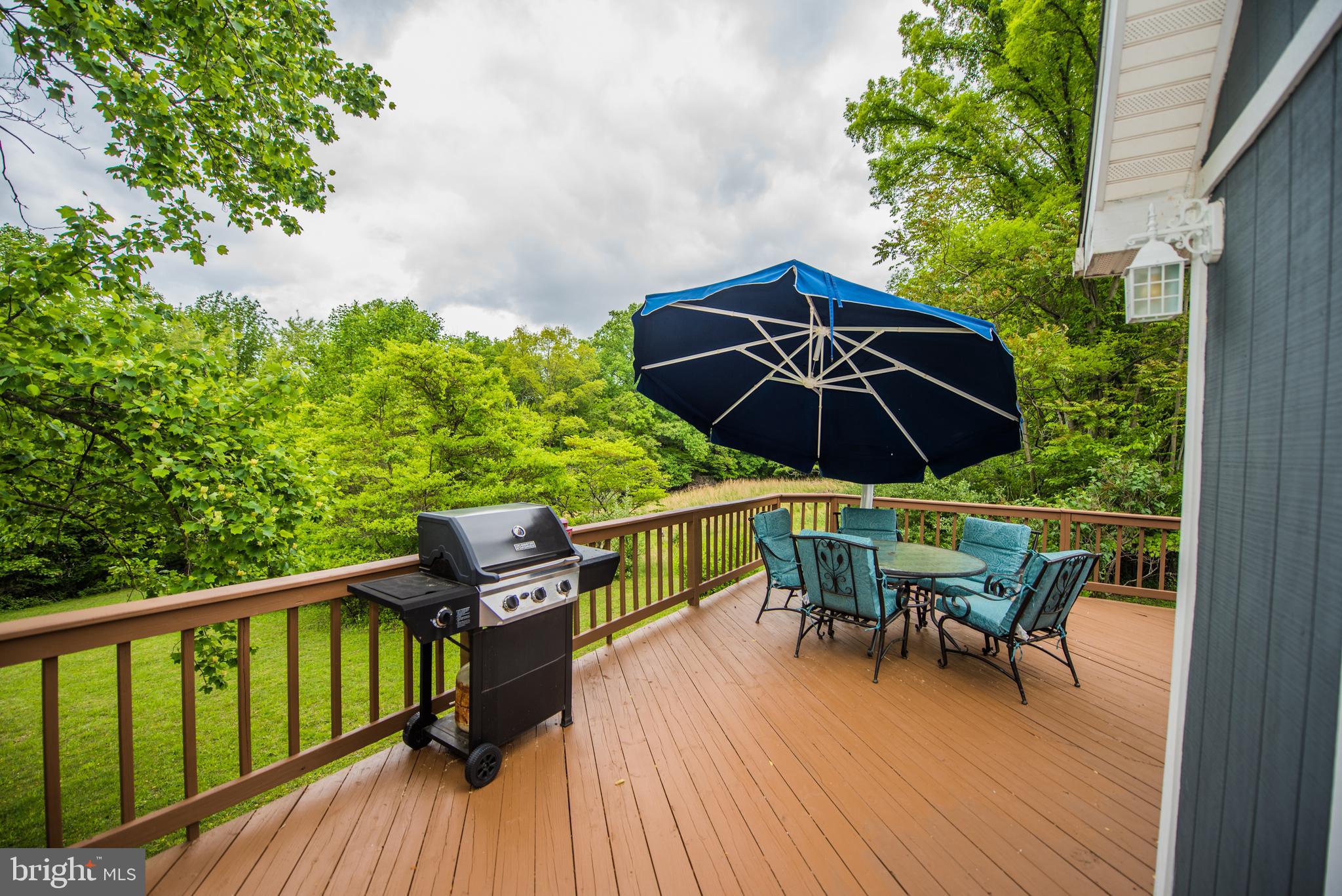 CACAPON RIVER MEADOWS - Residential