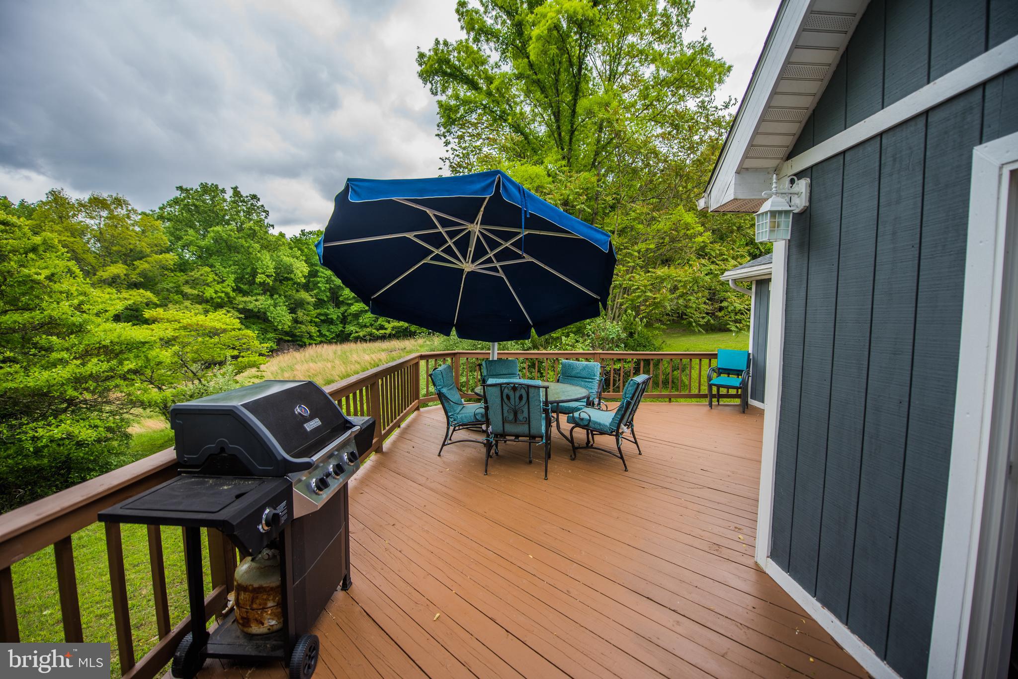 CACAPON RIVER MEADOWS - Residential