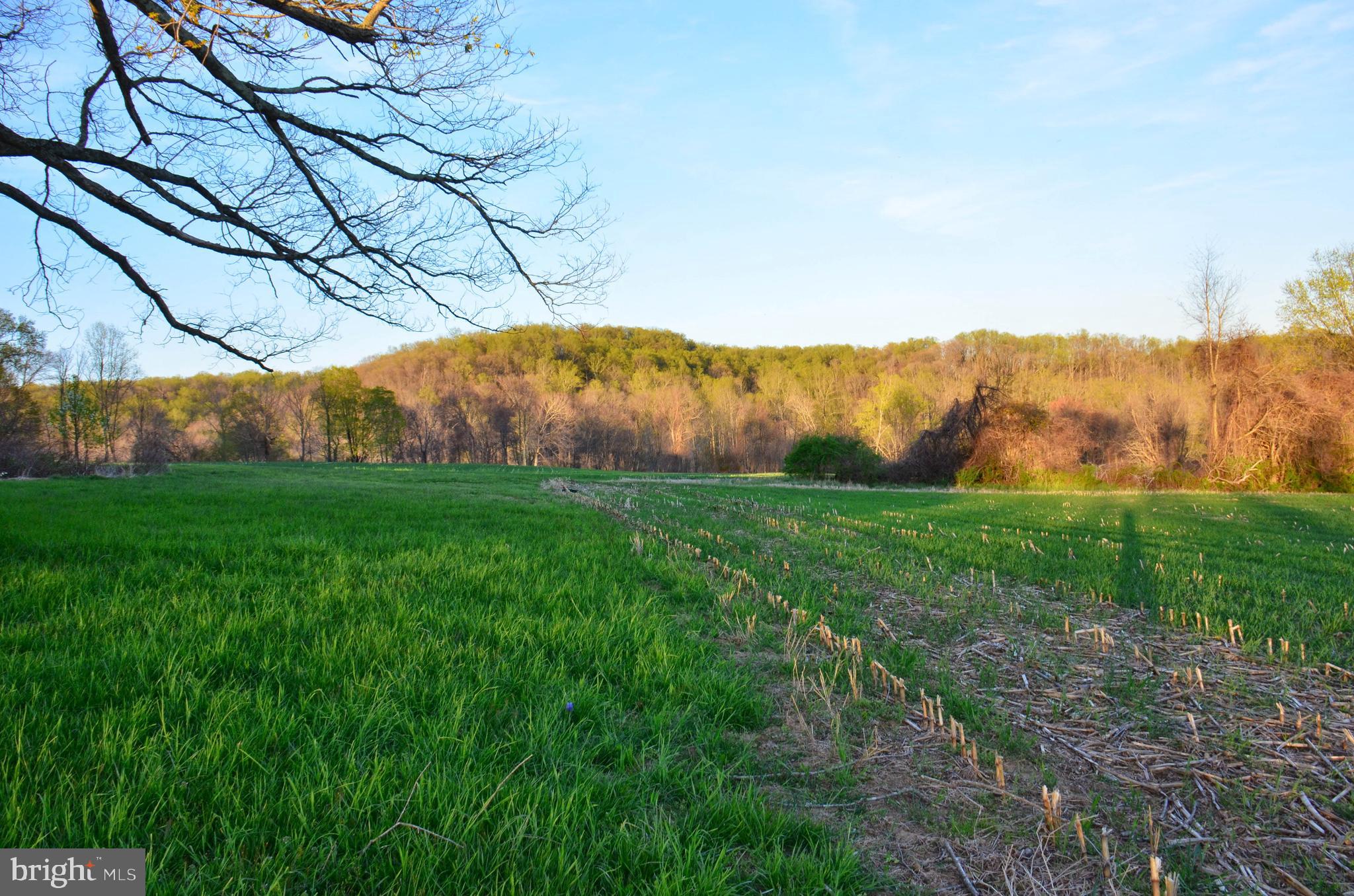 FAIRVIEW FARM - Land