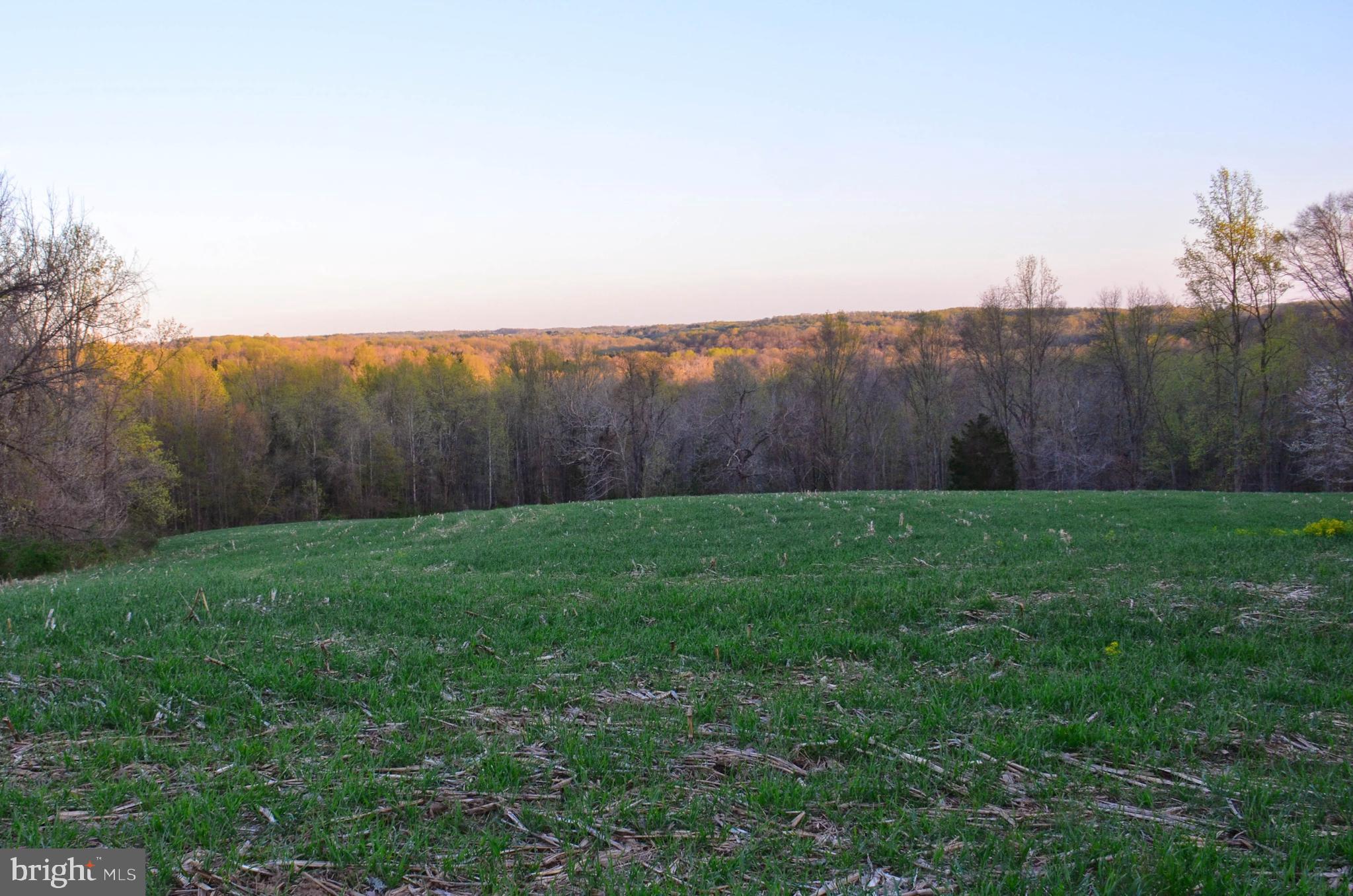 FAIRVIEW FARM - Land