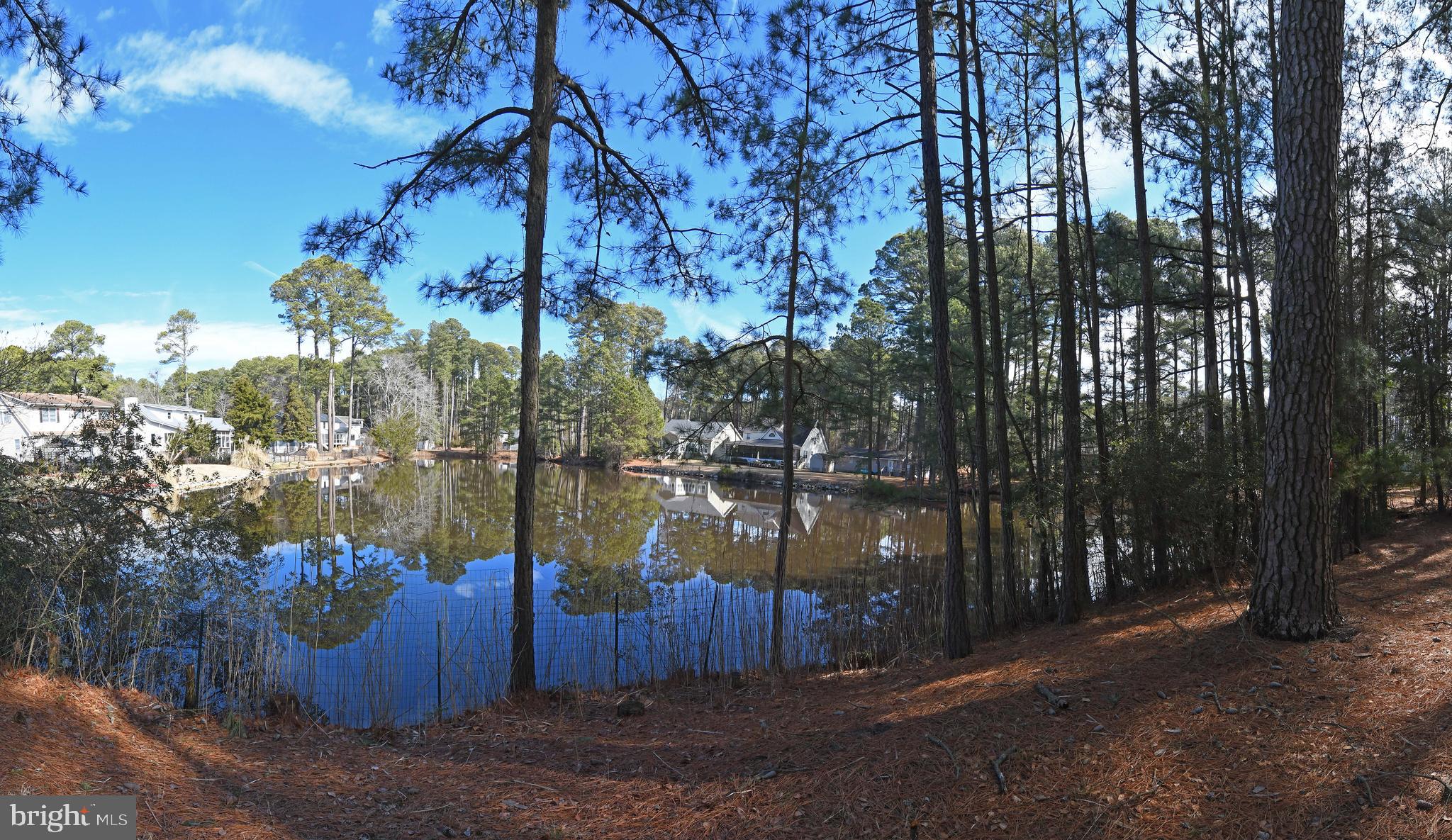 Lot 1136 SCIMITAR WAY