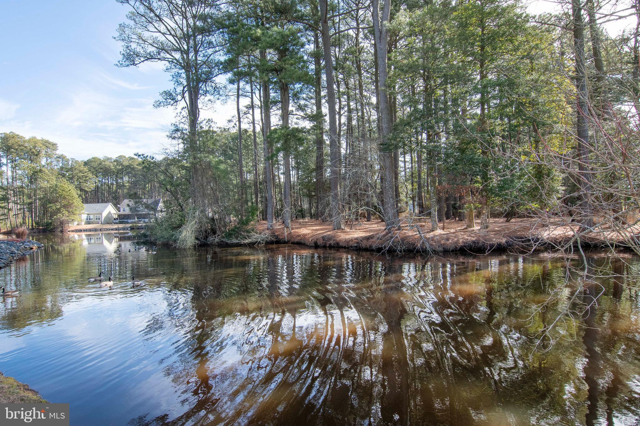 Lot 1136 SCIMITAR WAY