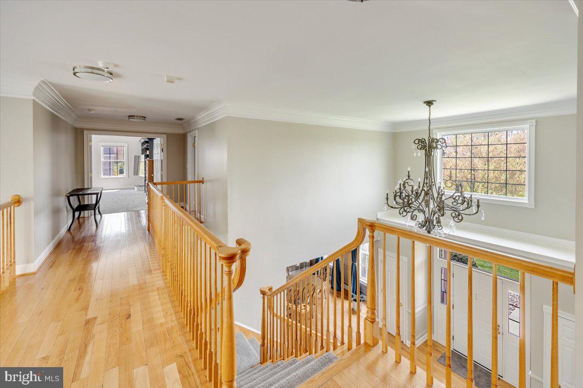 WOODS AT NORTHAMPTON - Residential