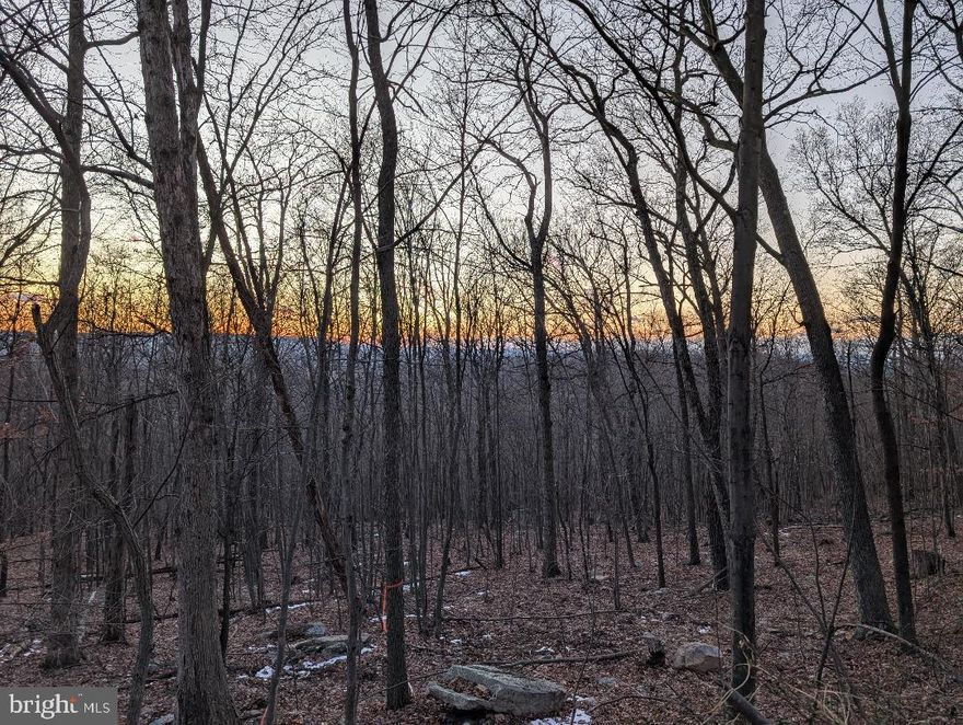 This is the land that you have been waiting for whether you are looking for a quiet place to escape to or the perfect spot for your dream home!   This lot is 5.47 acres with a stream and plenty of wildlife.  3.17 acres are in Forest Conservation with assures that this lot will always provide plenty of privacy.  The plat will show the proposed dwelling and sewer reserve site.  The perc test was done before this Owner purchased so one would need to contact Washington County Health dept for the current requirements.  Underground electric box is in place near the beginning of the access path.  Please note that the portion by the stream/shed is swampy during wet portion of the year so driving that portion is not recommended.  Bring boots!