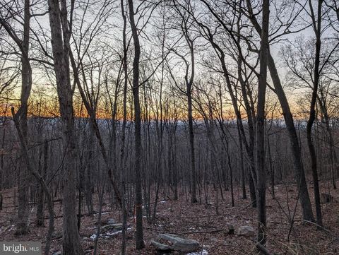 Vacant Land For Sale - 11430 National Pike<br/> CLEAR SPRING, MD 21722