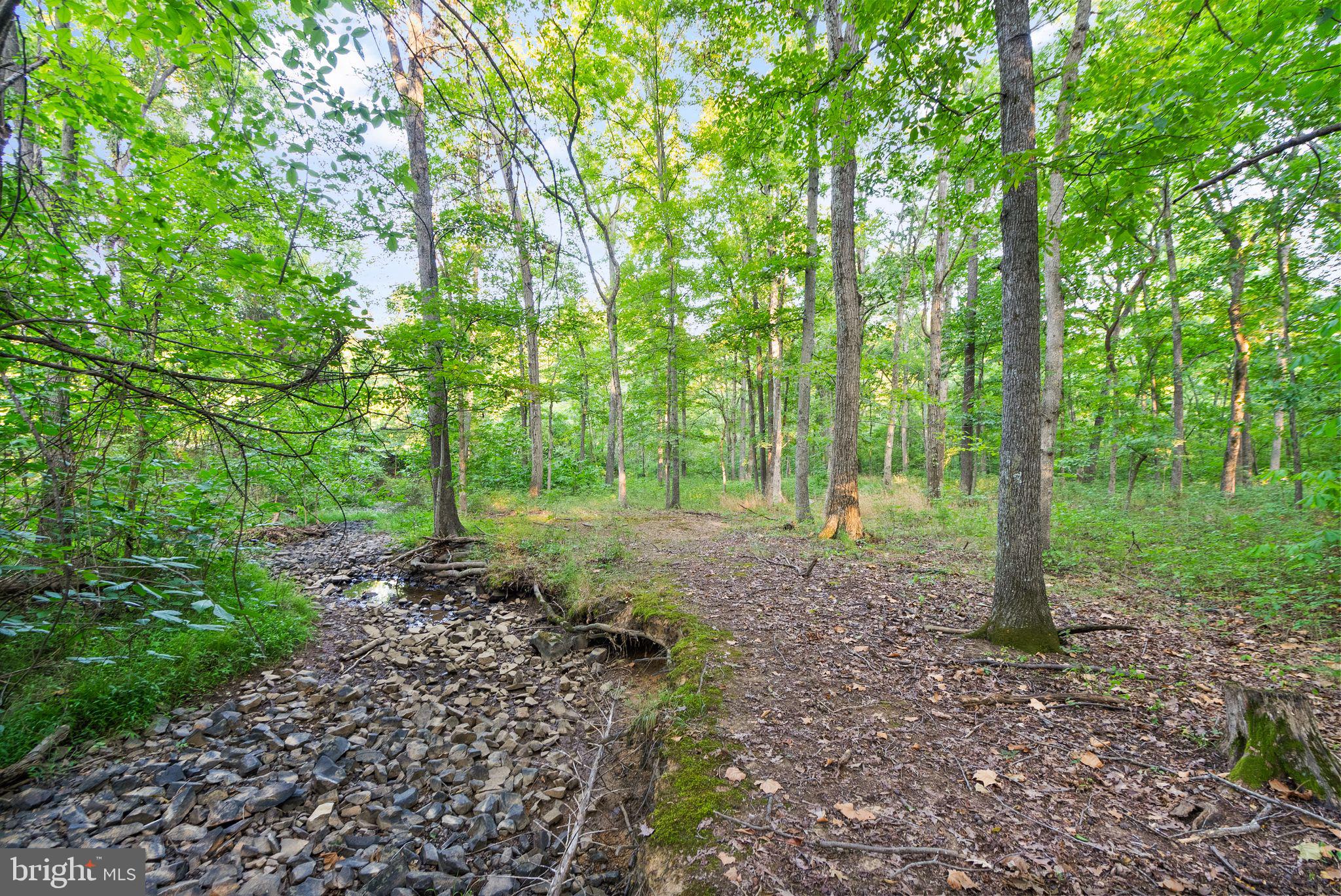 EVERGREEN ESTATES - Residential