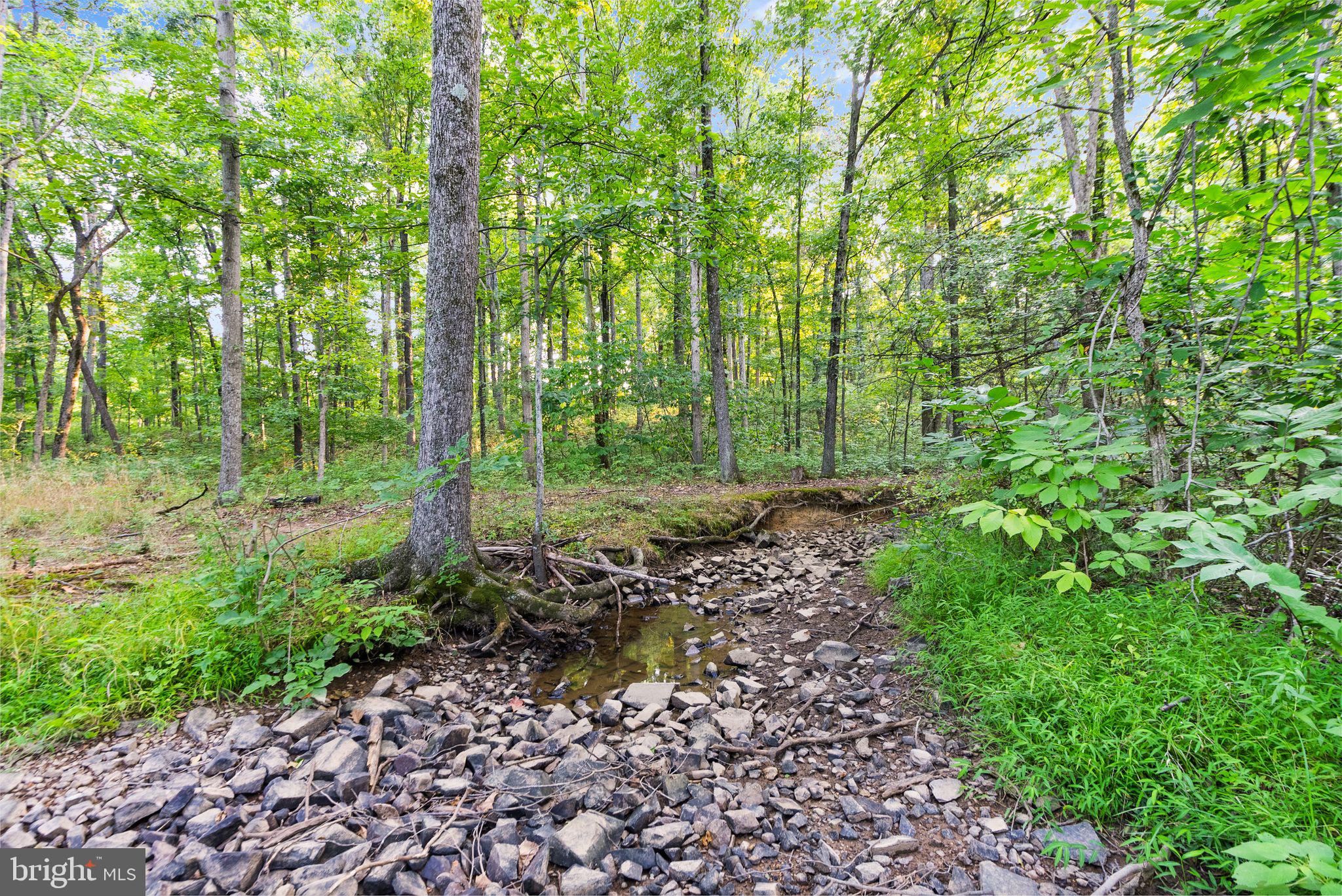 EVERGREEN ESTATES - Residential