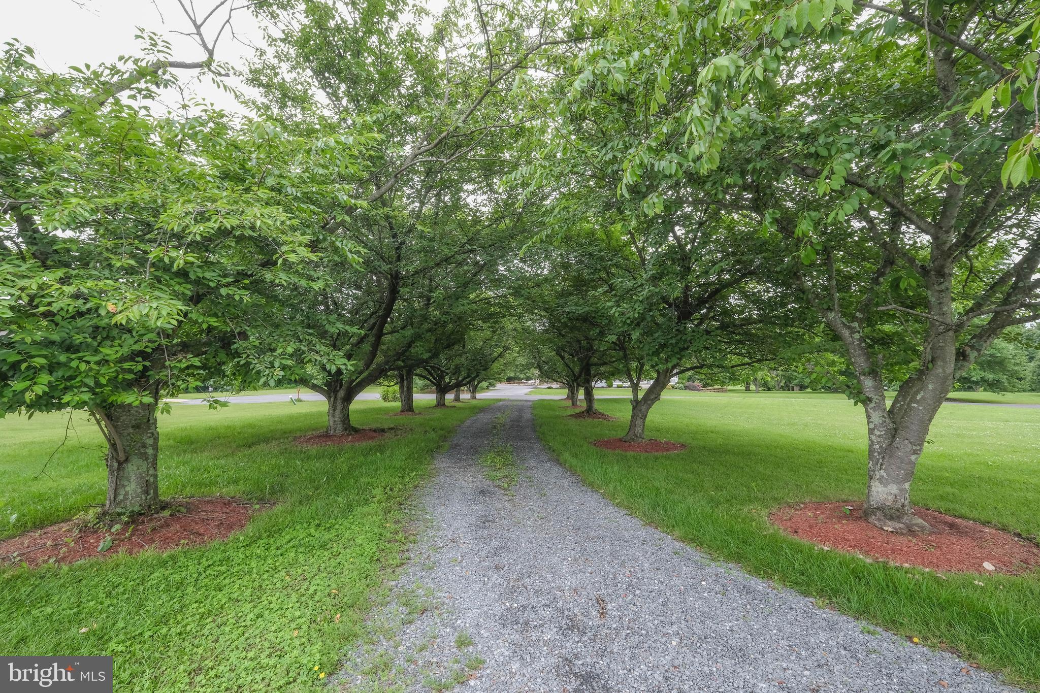 SPRING MILLS FARM - Residential