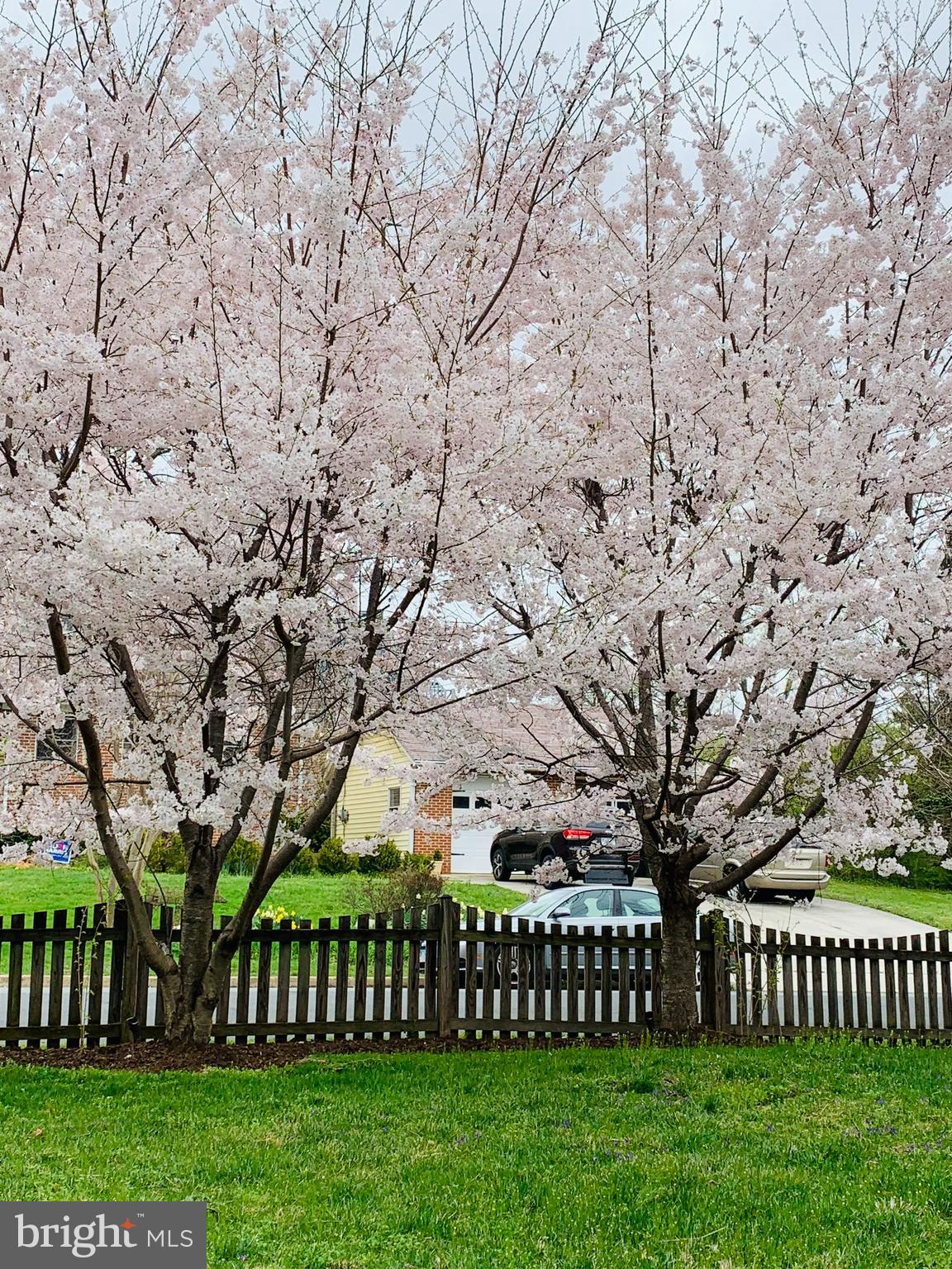 BRILYN PARK - Residential