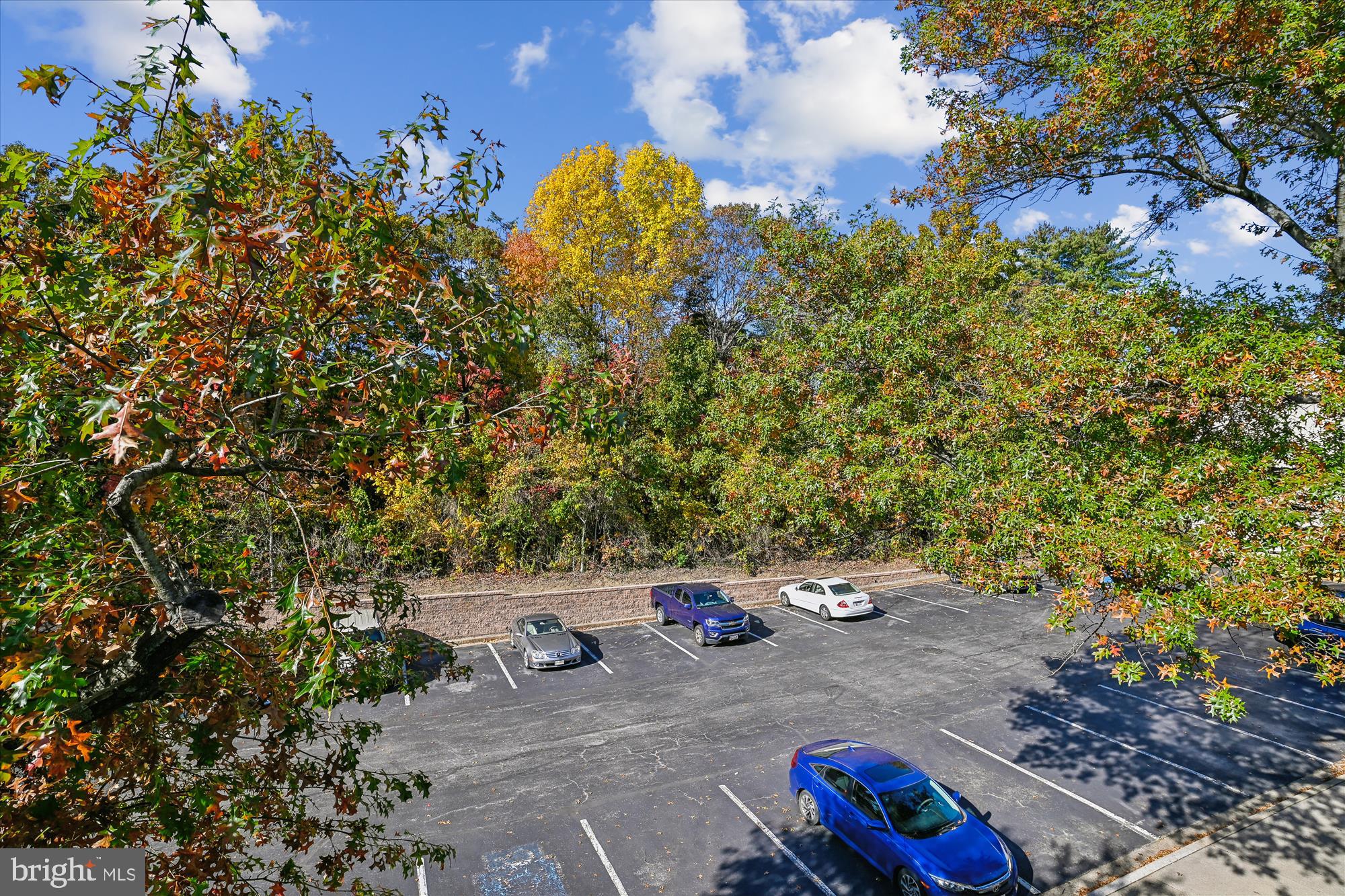 RIVA COMMONS - Residential