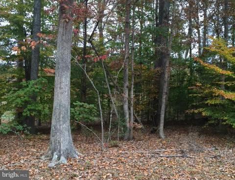 Vacant Land For Sale - 224 Woodside Lane<br/> Caroline County, RUTHER GLEN, VA 22546