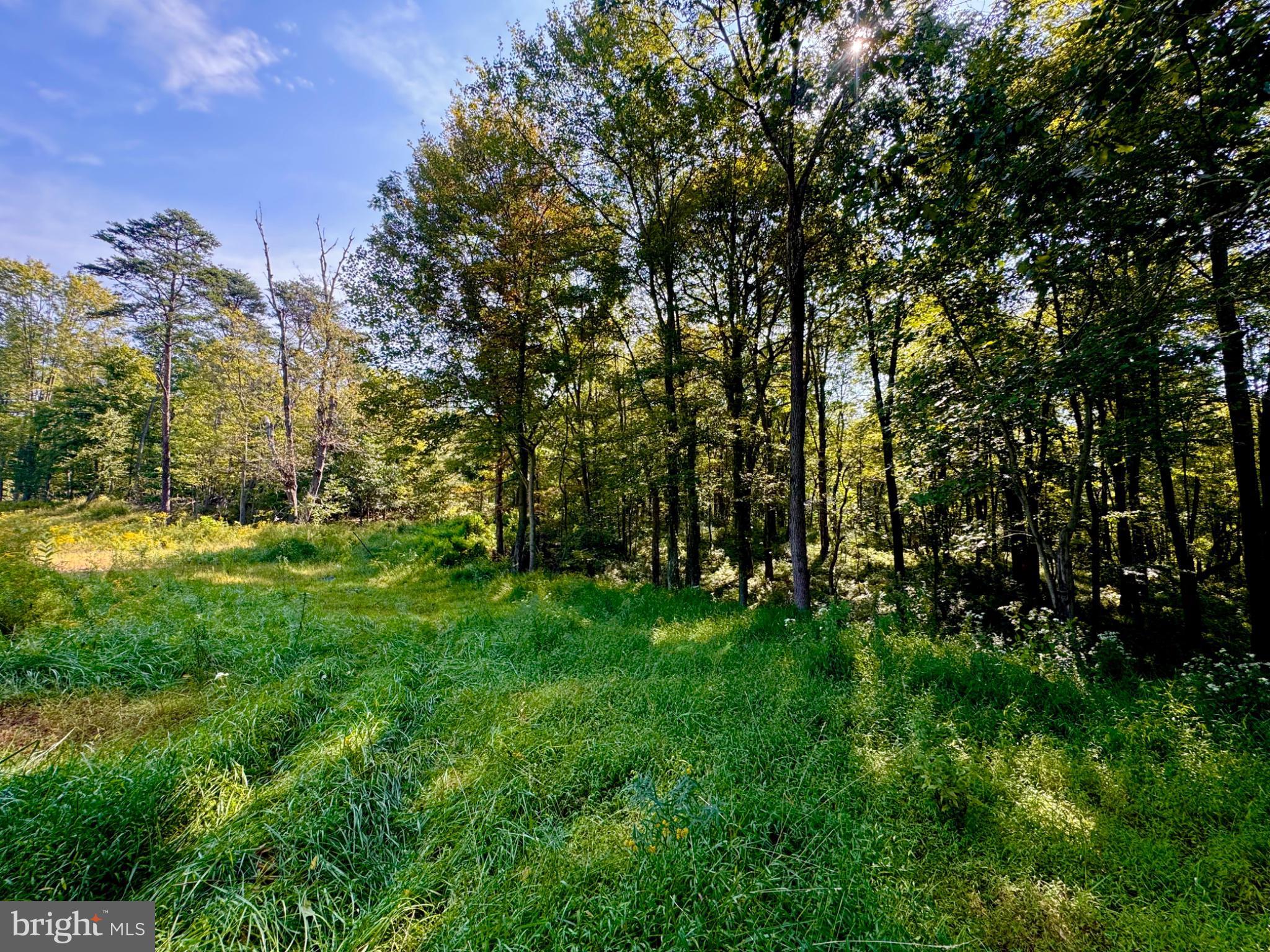 Lot: 2 PARADISE POINT
