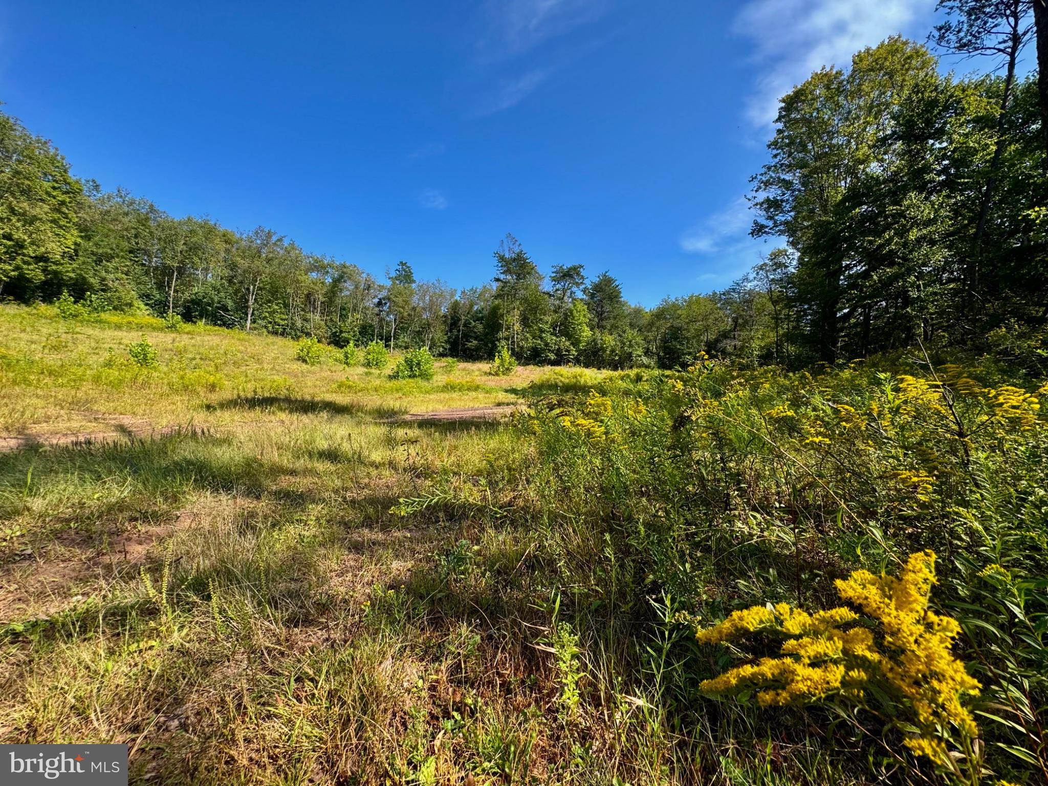 Lot: 2 PARADISE POINT