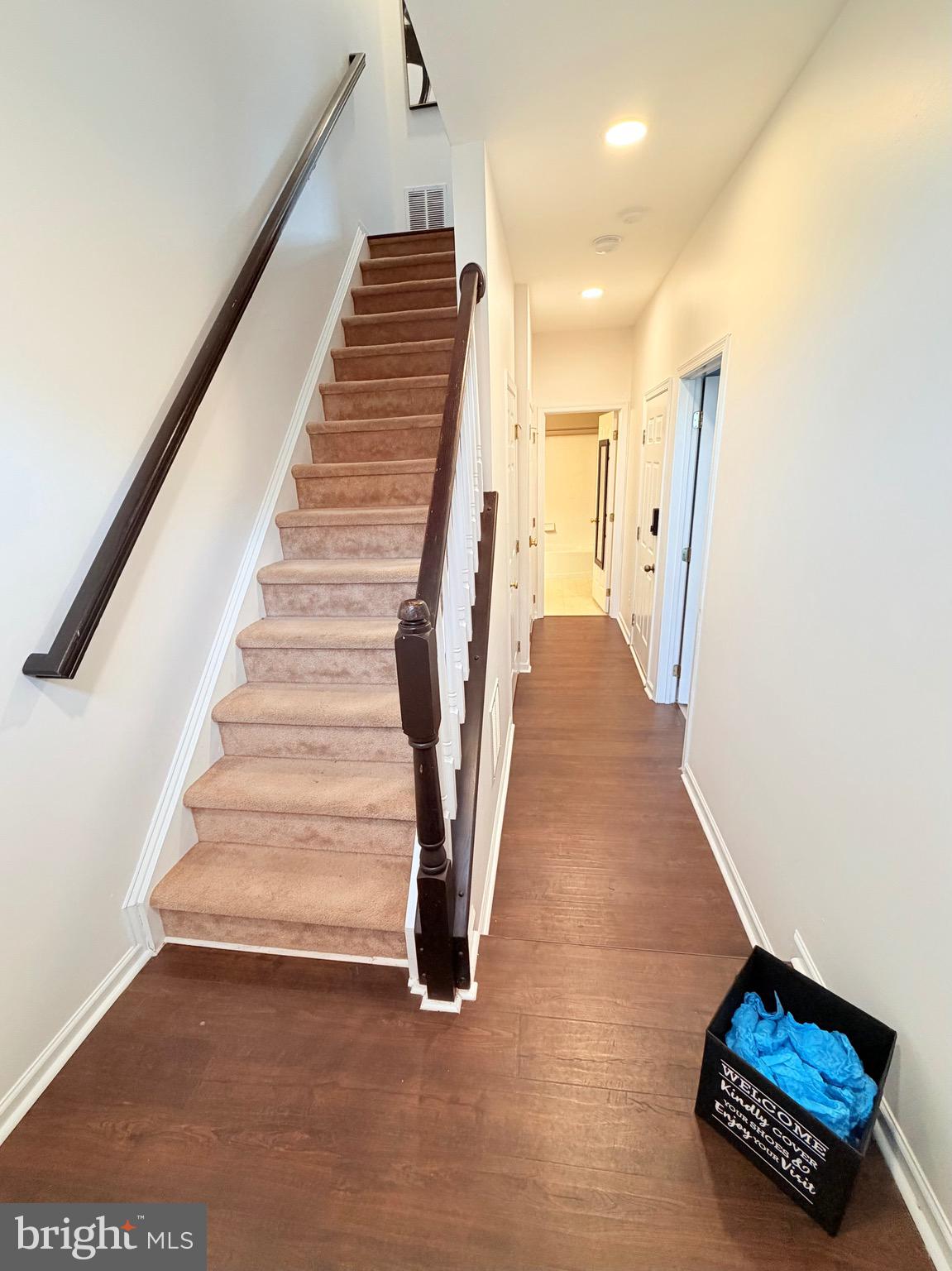 AMBERLEA AT SOUTH RIDING - Residential