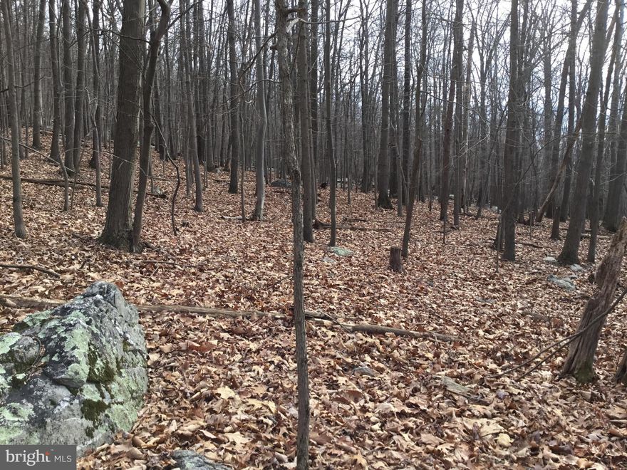 Beautiful wooded lot located in the Shannondale Community.  The sale includes two adjacent lots 13 & 14 (parcels 44 and 43) totaling almost a half acre.    Nearby amenities include Mountain Lake Club, (with 55 acre Lake Shannondale),  historic Harpers Ferry and Charlestown.  Outdoor activities abound (fishing, swimming, boating, hiking and more.) with the Shenandoah River also minutes away.  Buyer's responsibility to verify size and use of the property.