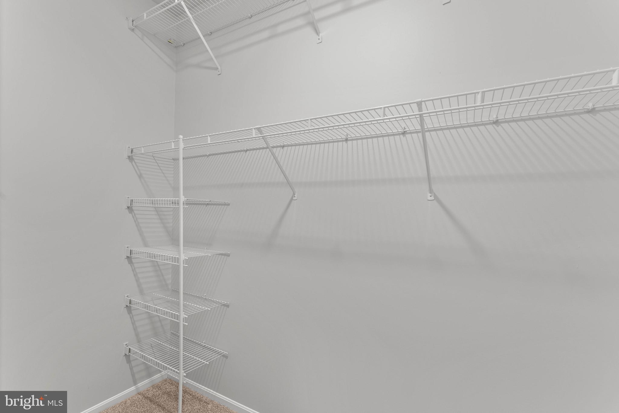 CEDAR GROVE AT CROFTON - Residential