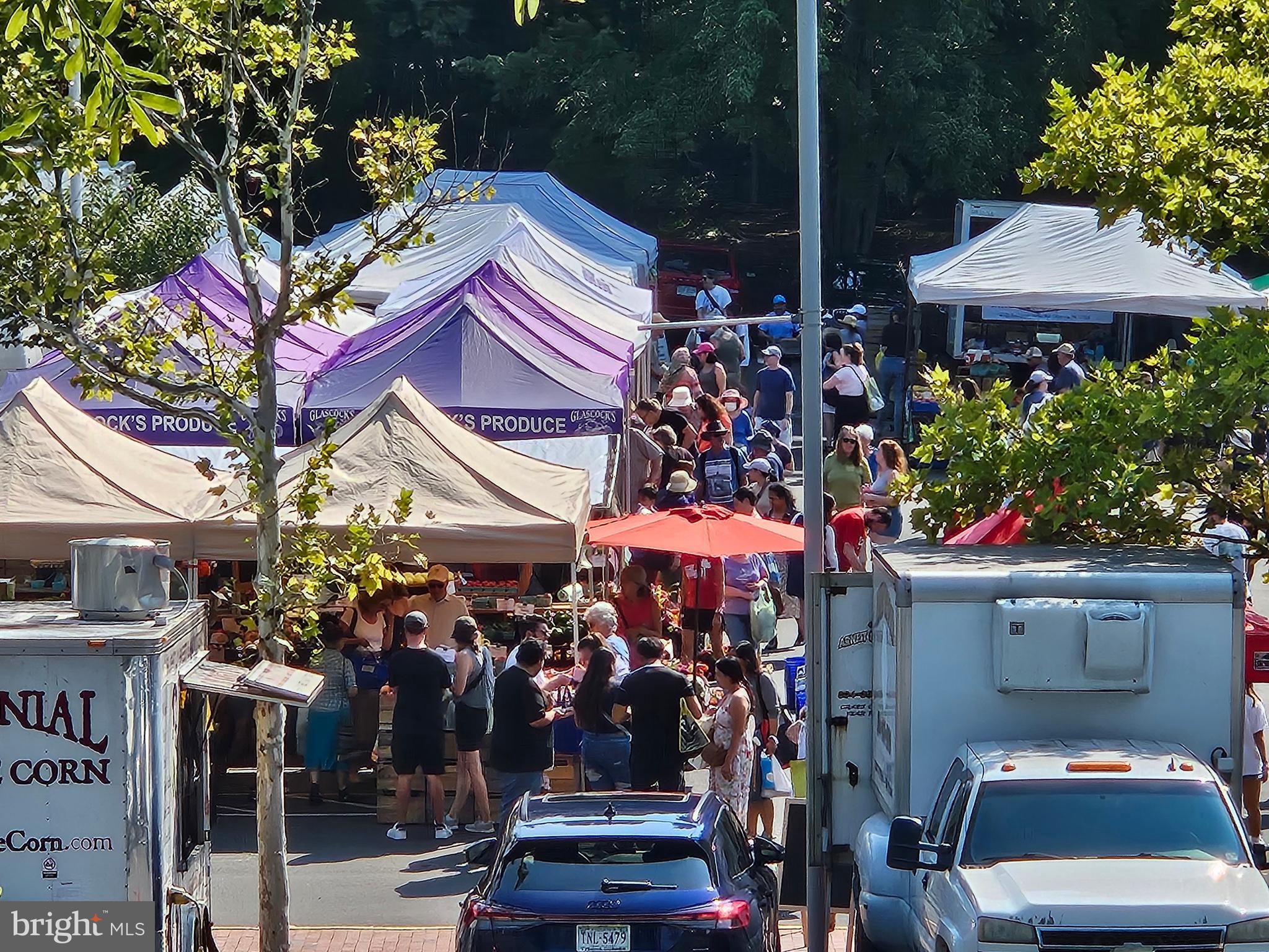 RESTON - Residential Lease