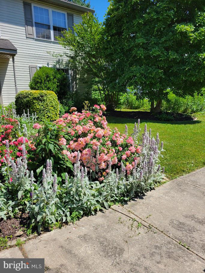 OXFORD BORO - Residential