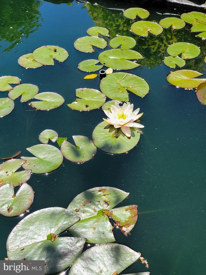 OXFORD BORO - Residential