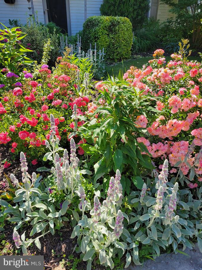 OXFORD BORO - Residential