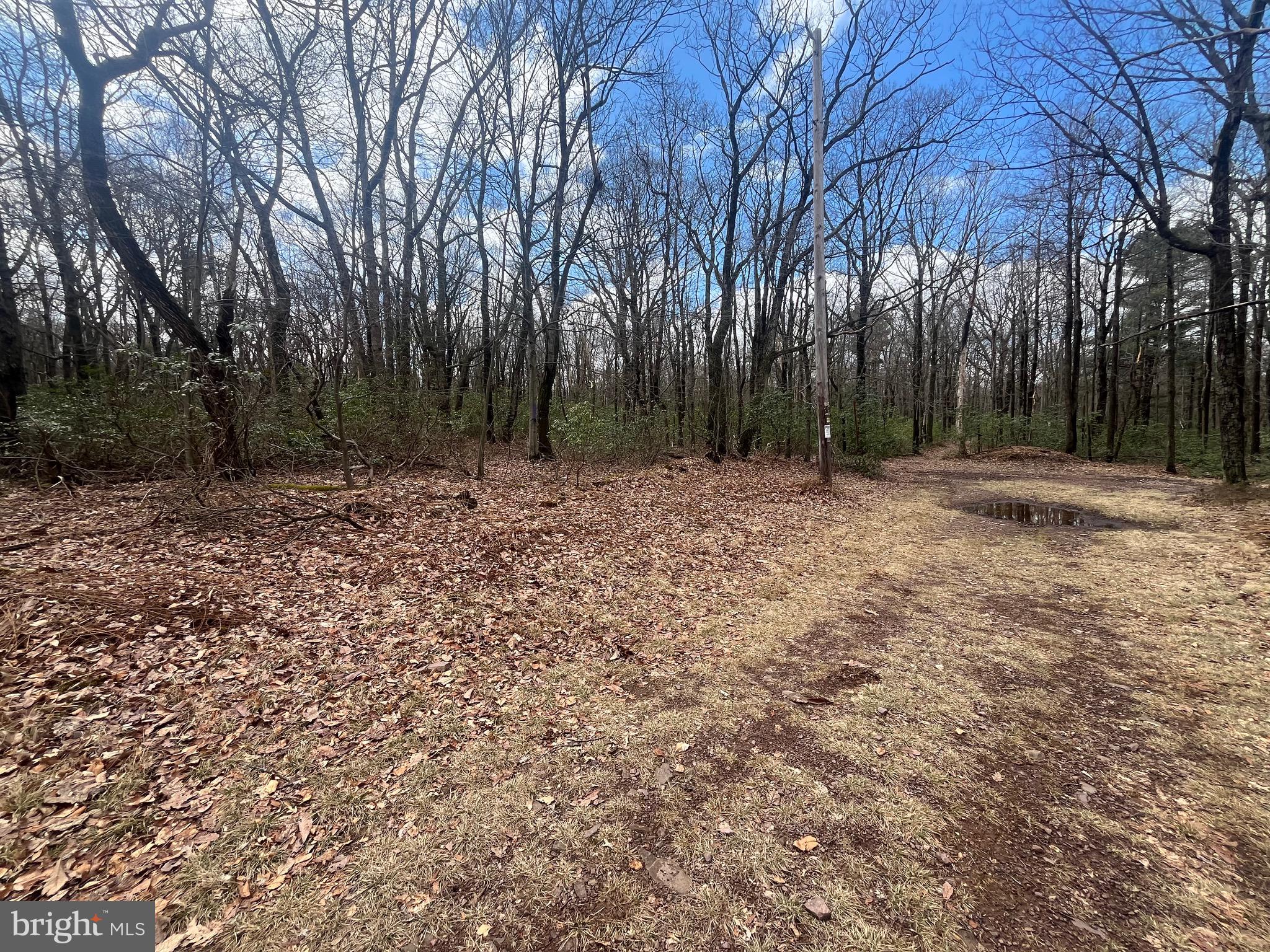 74 & 75 ELM DR.